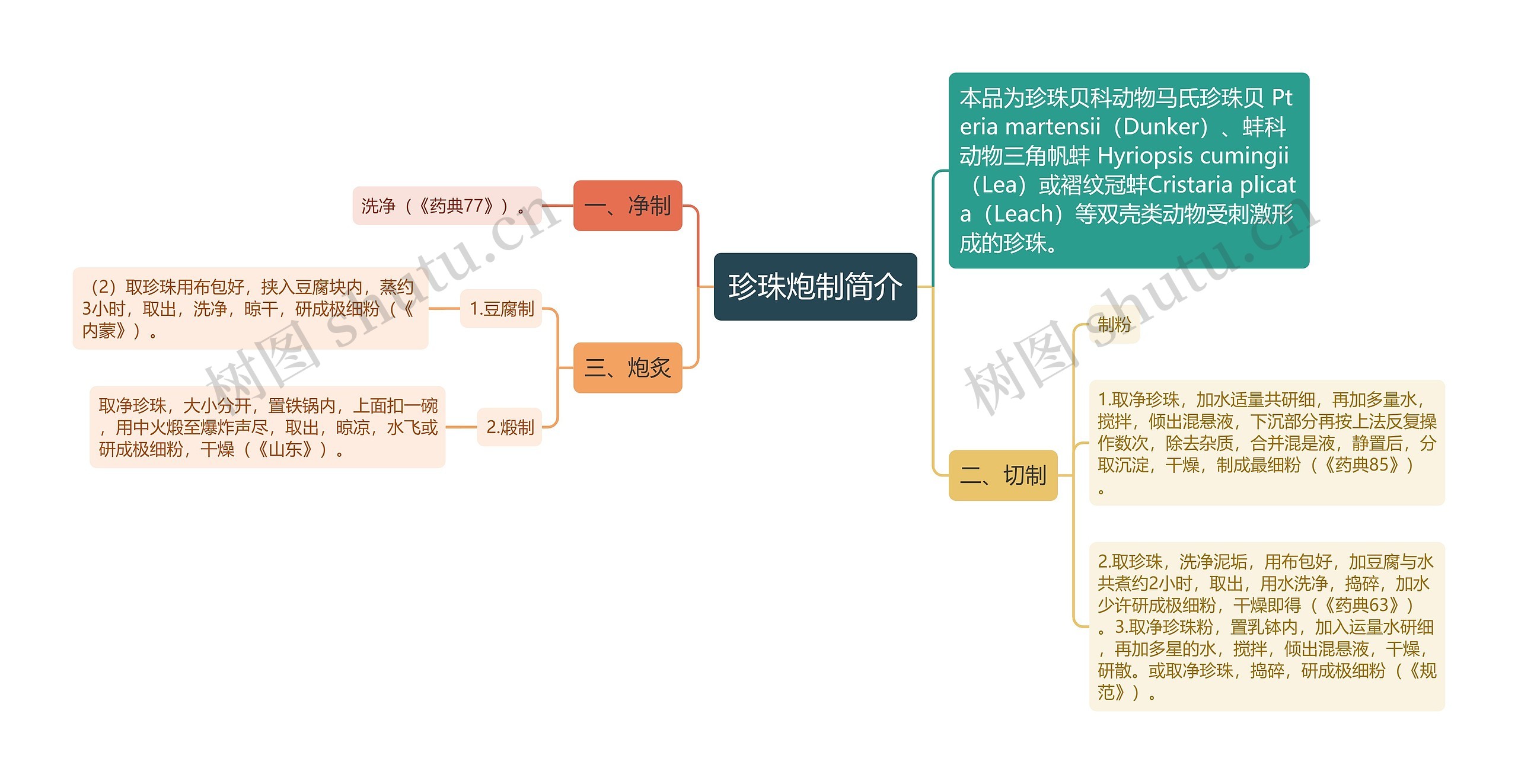 珍珠炮制简介思维导图