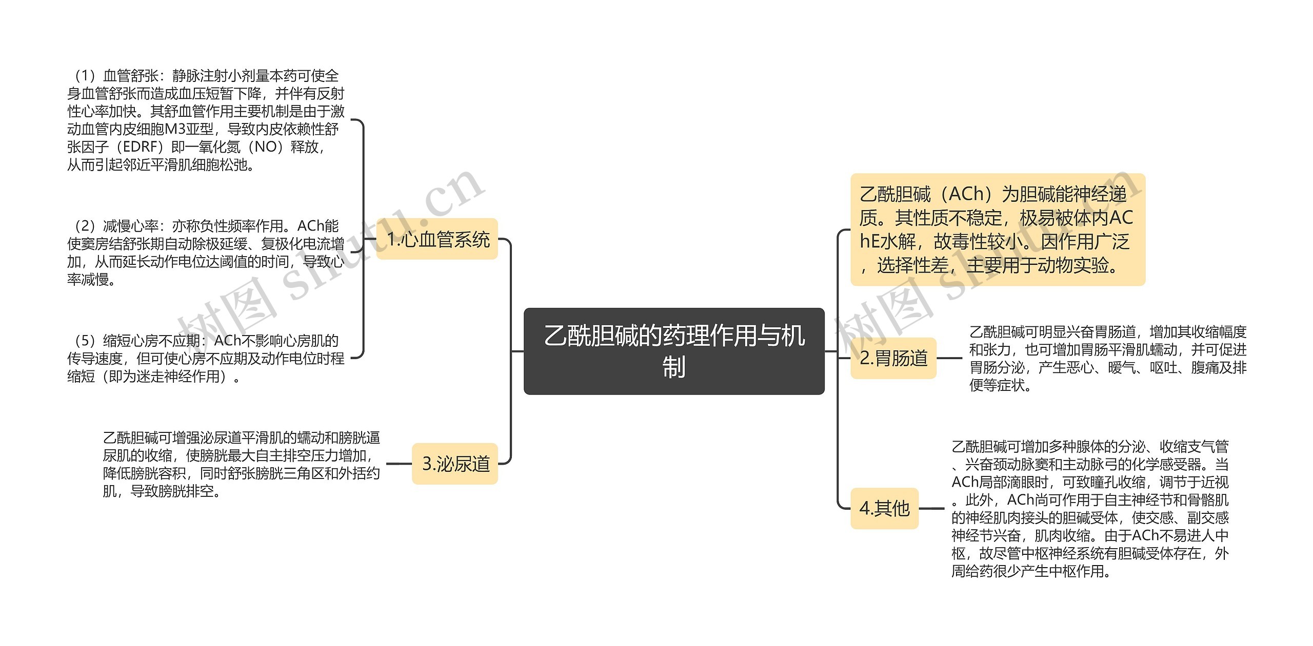 乙酰胆碱的药理作用与机制