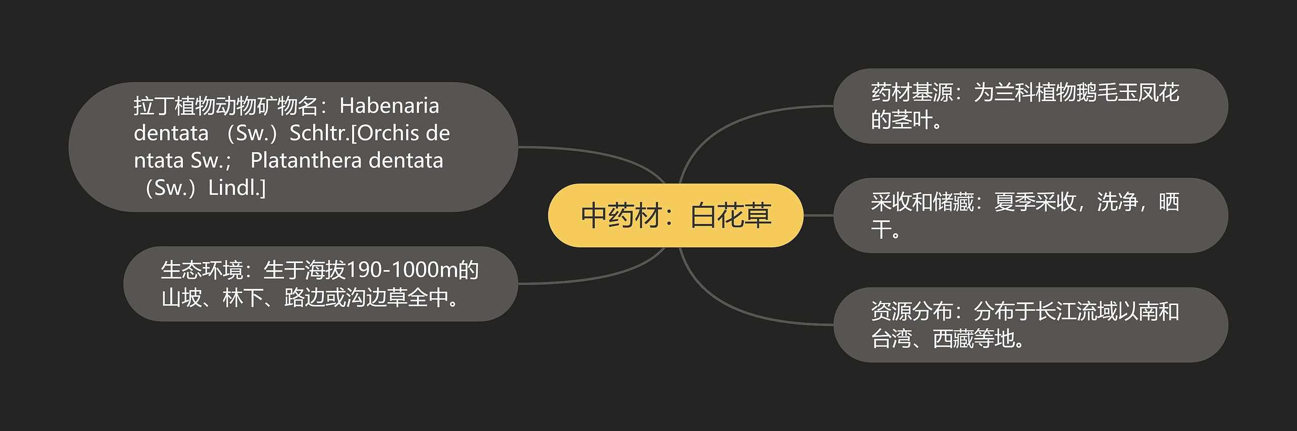 中药材：白花草思维导图