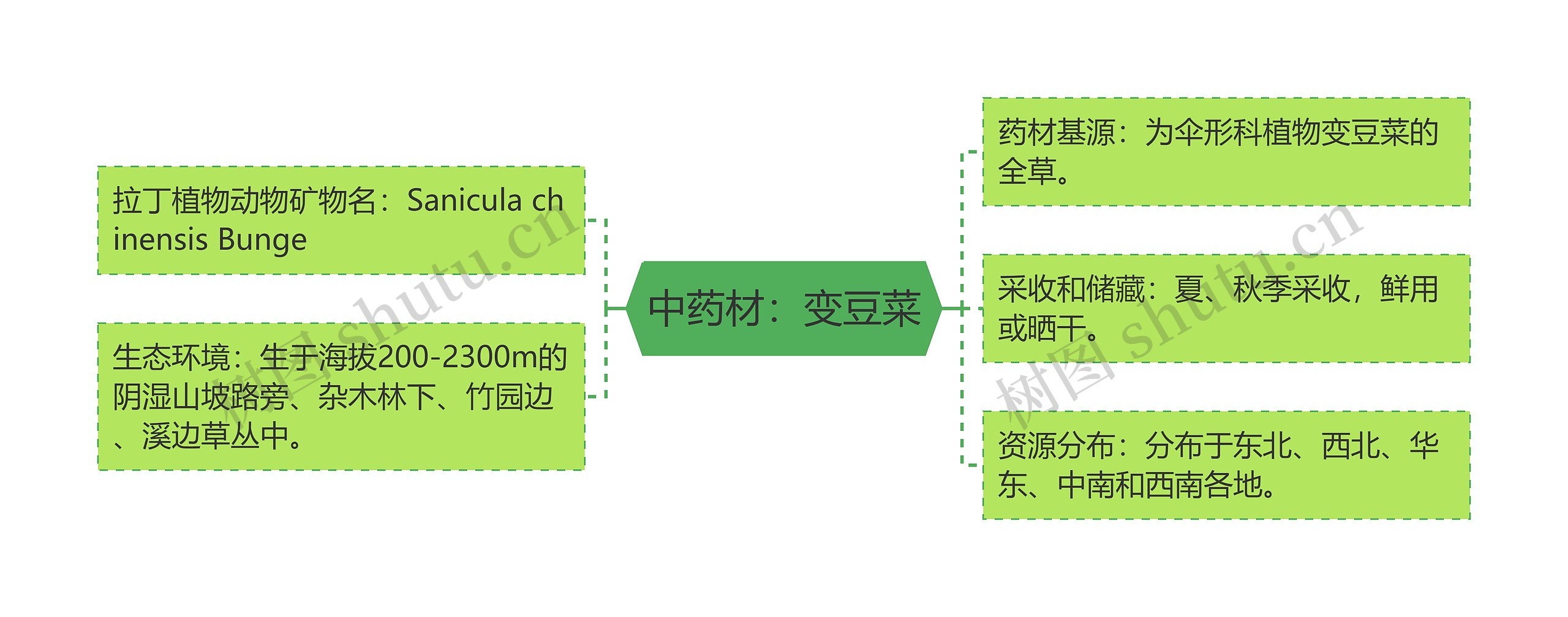 中药材：变豆菜思维导图