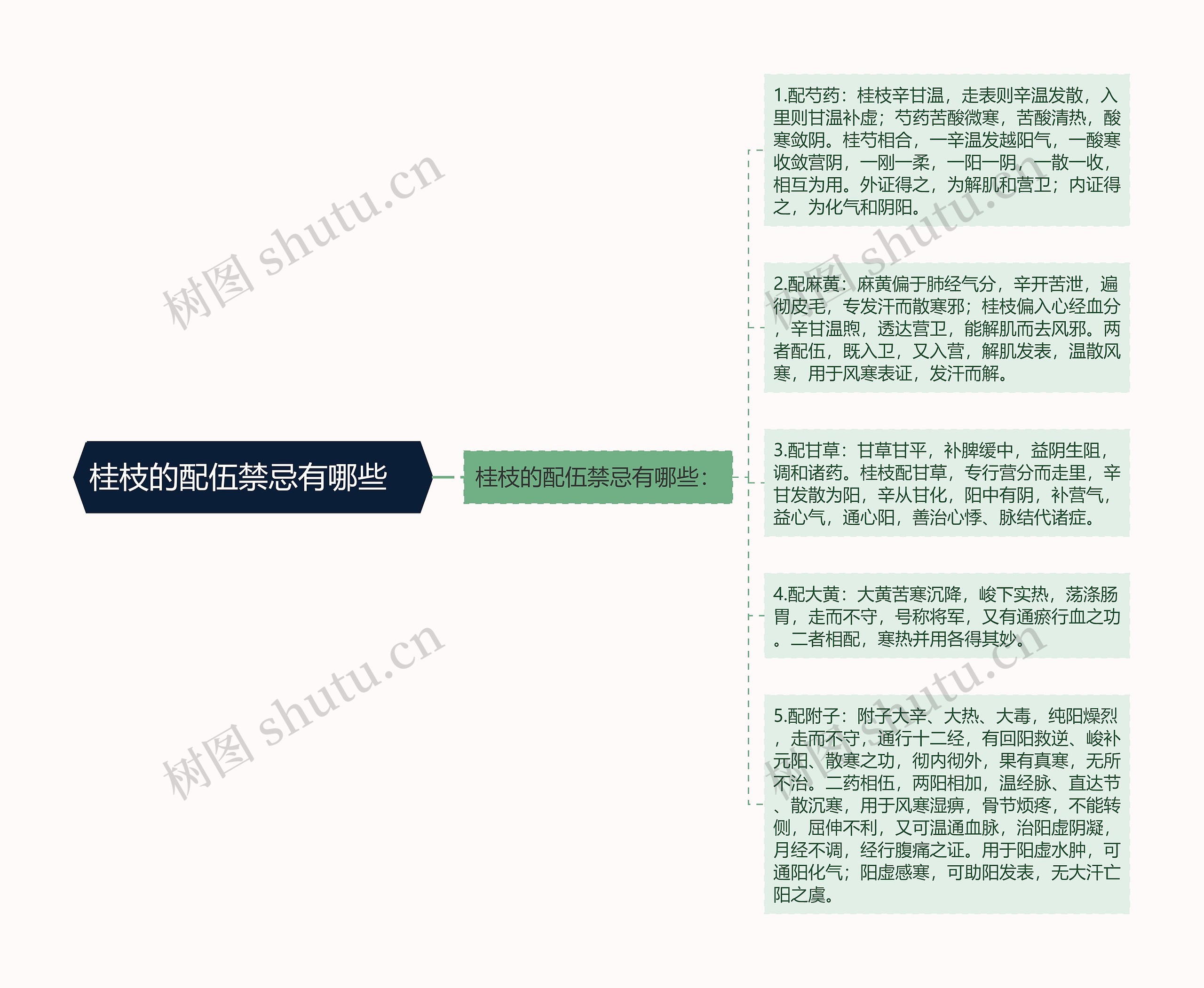 桂枝的配伍禁忌有哪些  桂枝的配伍禁忌有哪些