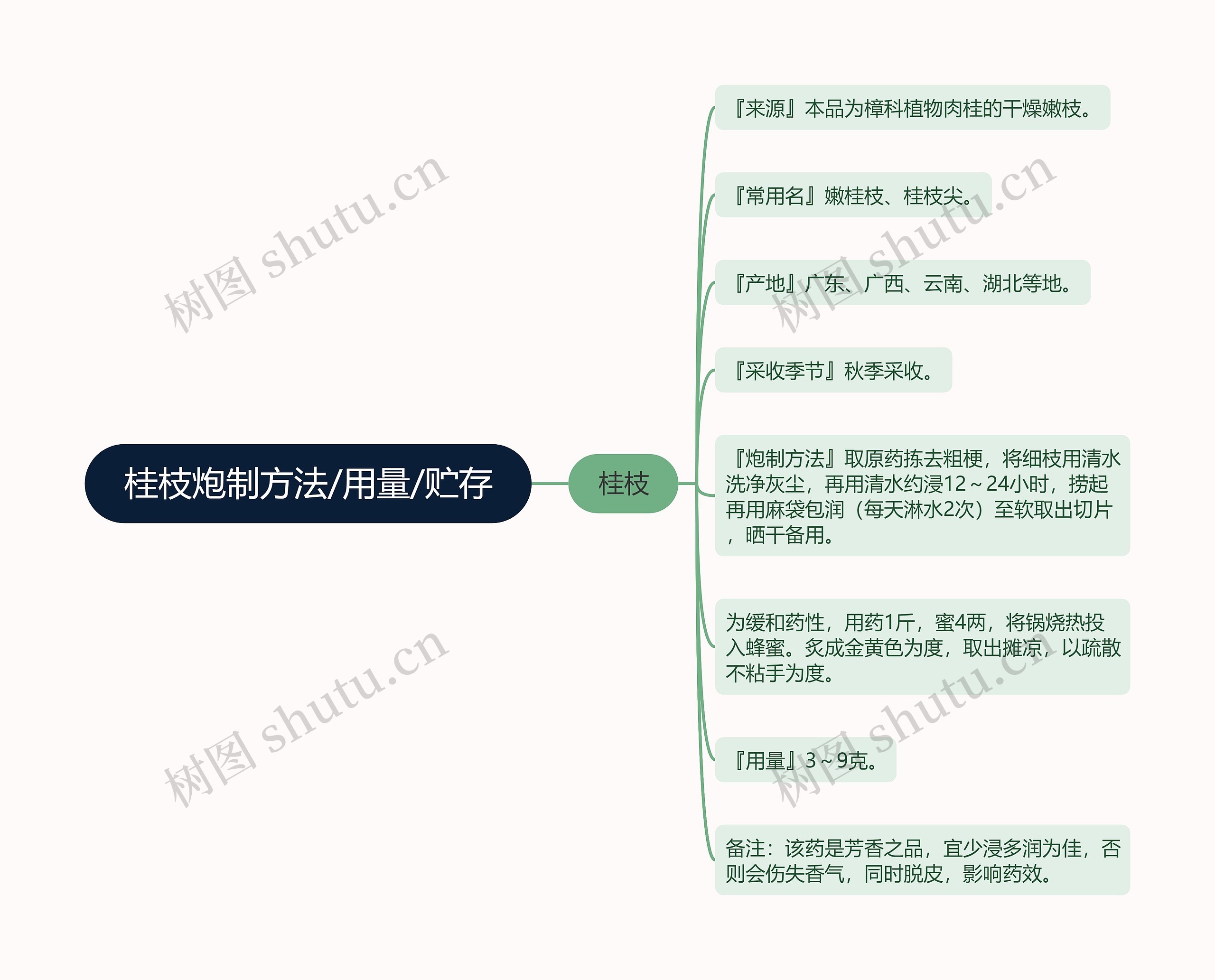 桂枝炮制方法/用量/贮存思维导图