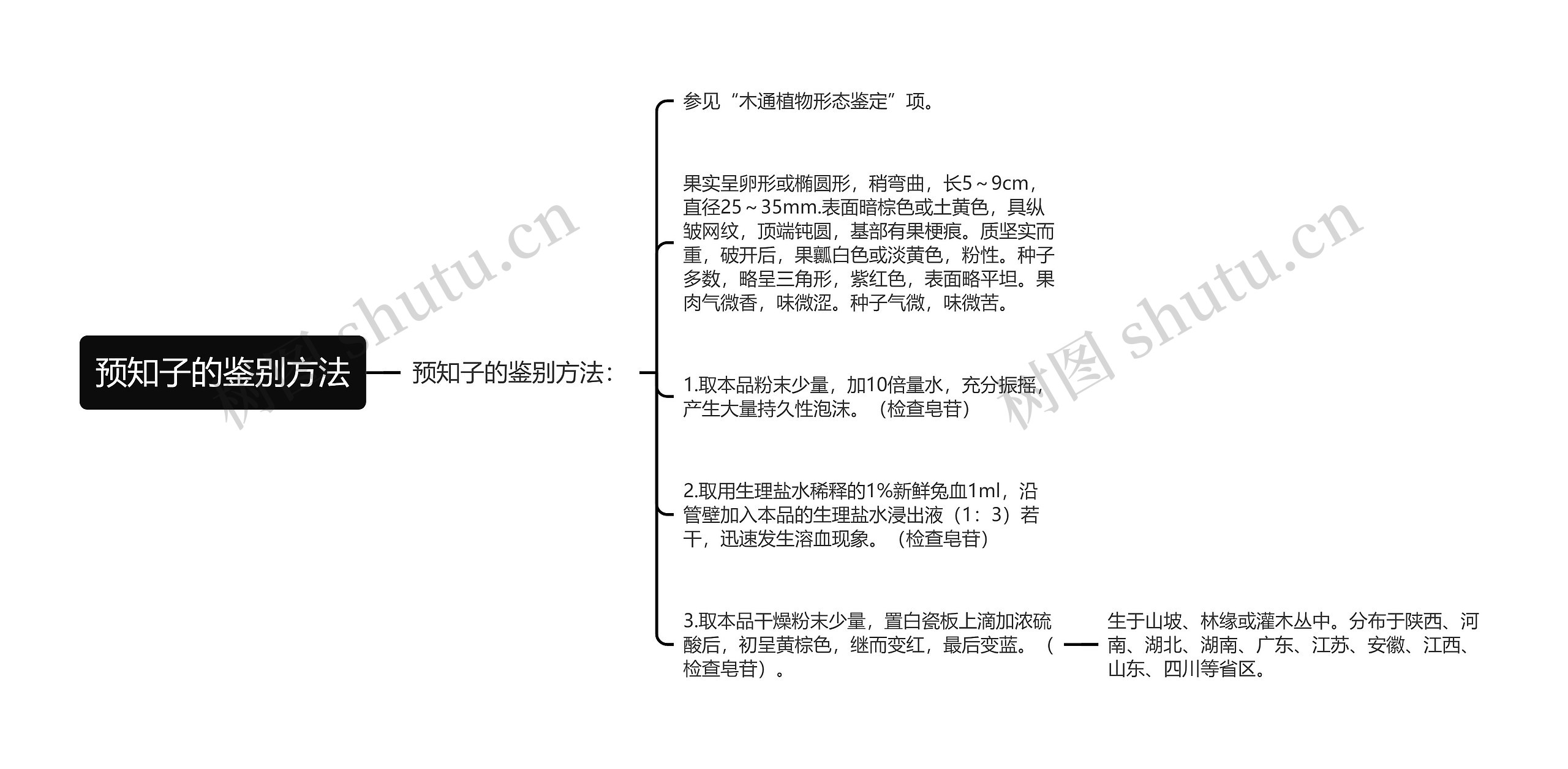 预知子的鉴别方法思维导图