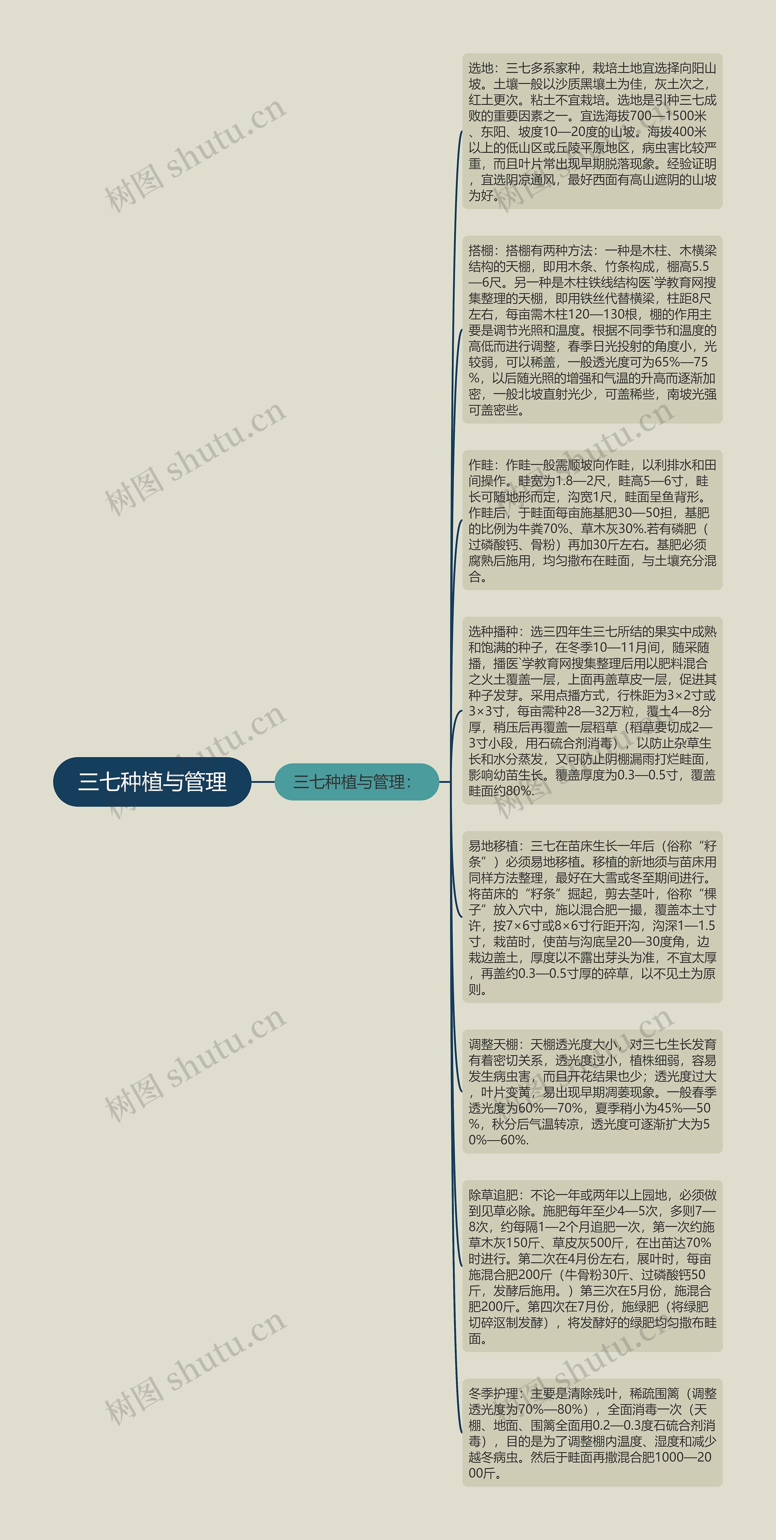 三七种植与管理