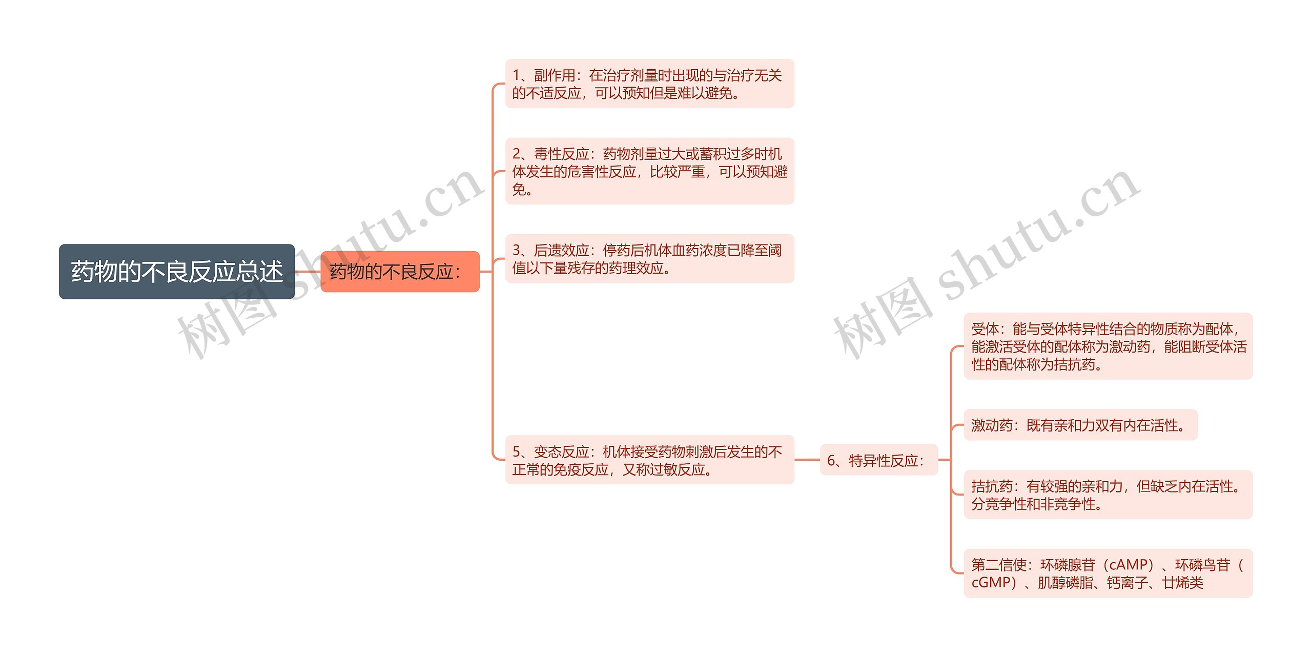 药物的不良反应总述思维导图