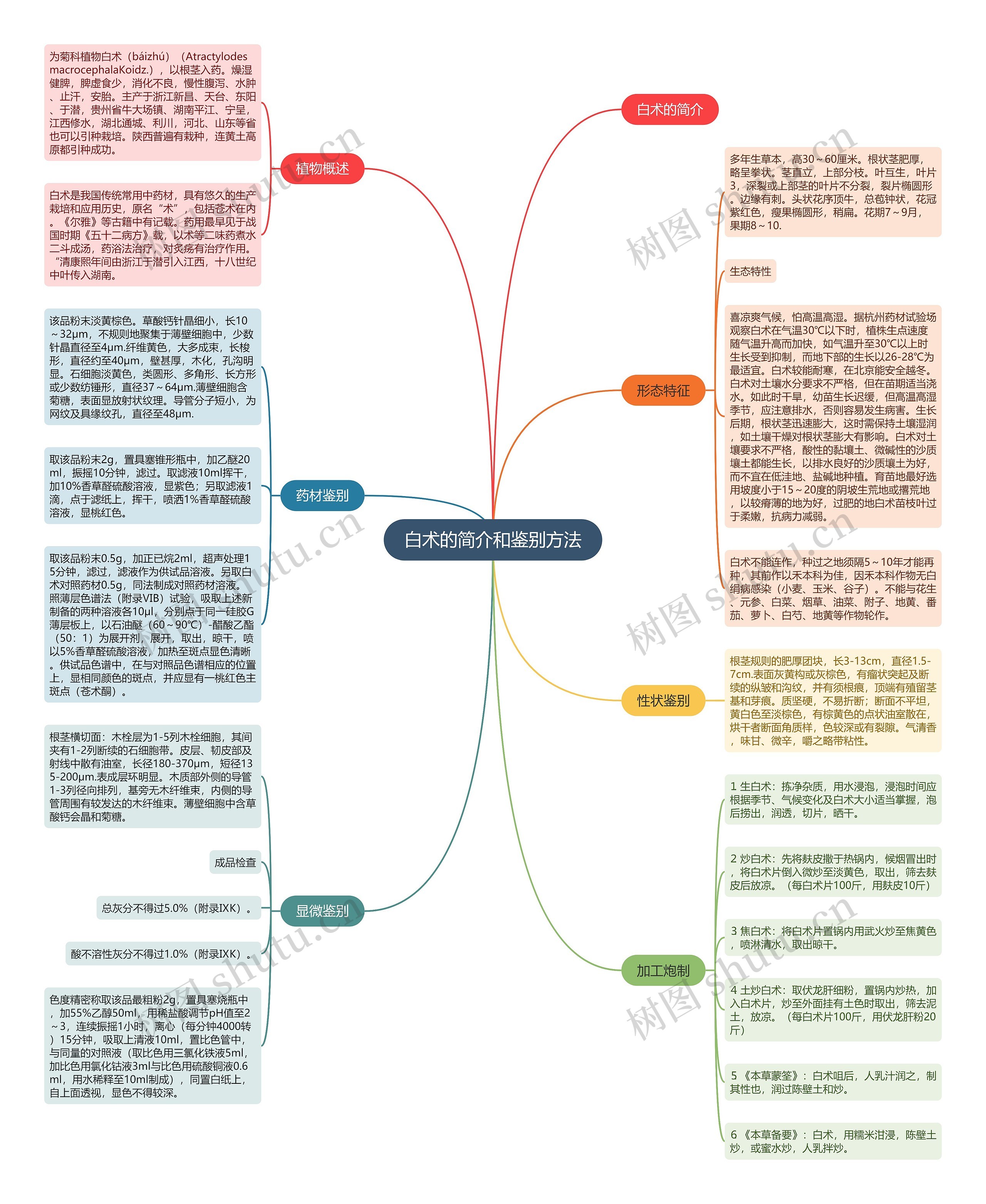 白术的简介和鉴别方法思维导图
