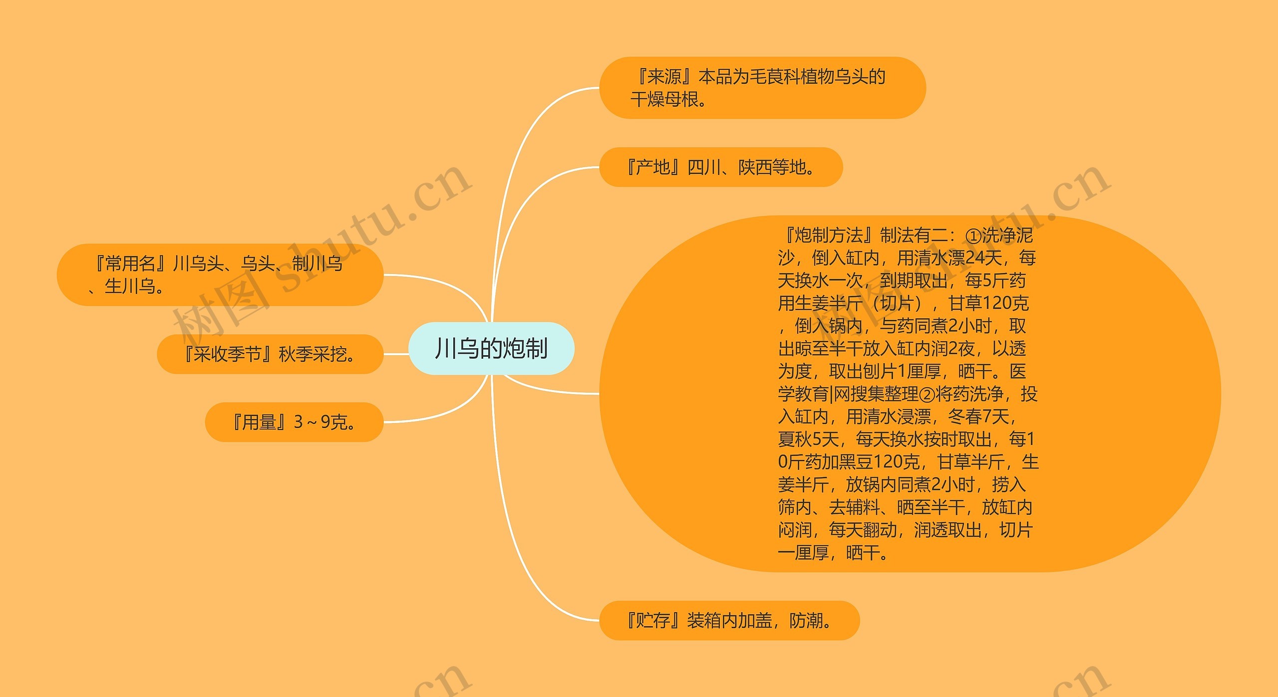 川乌的炮制思维导图