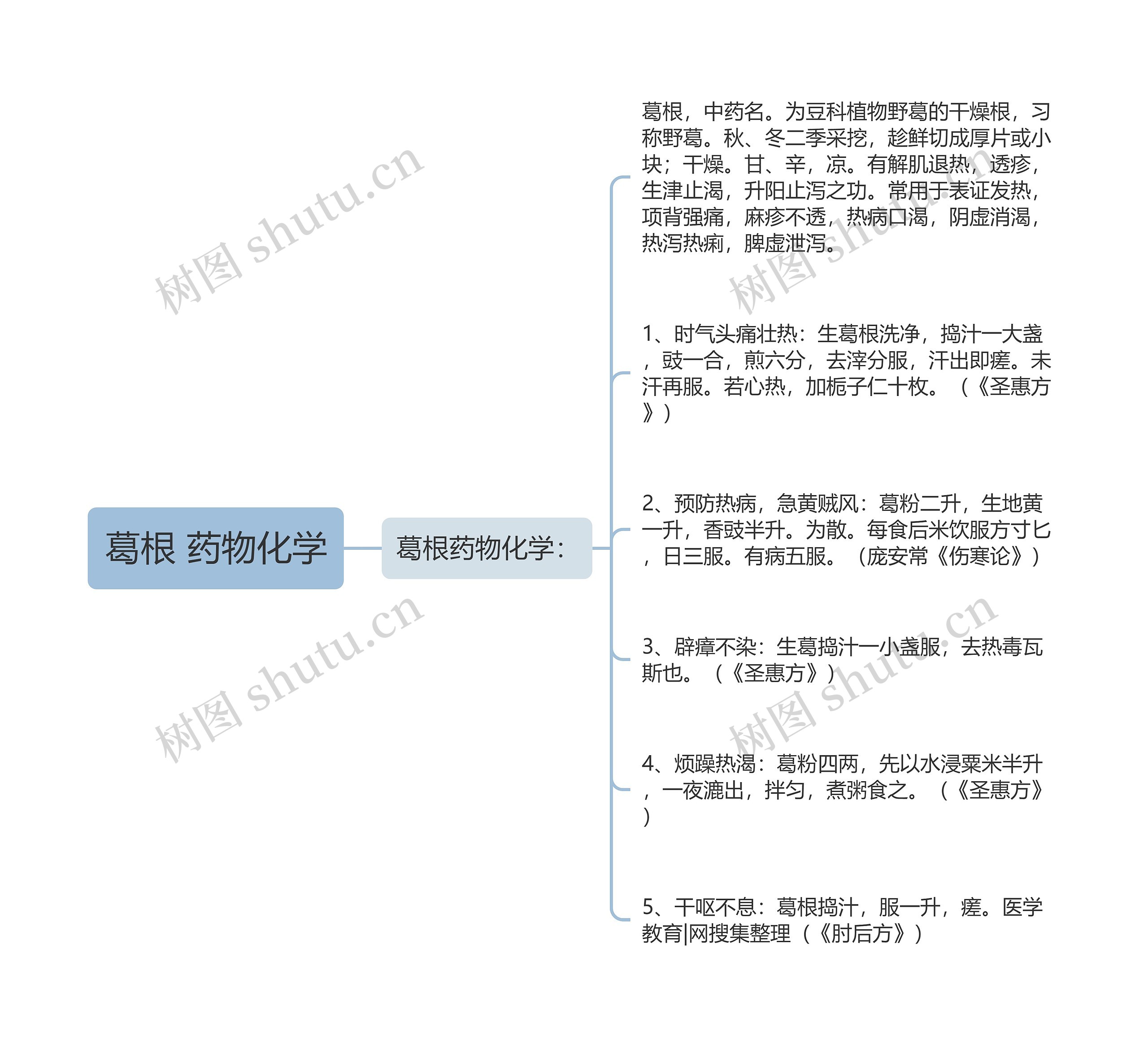 葛根 药物化学思维导图