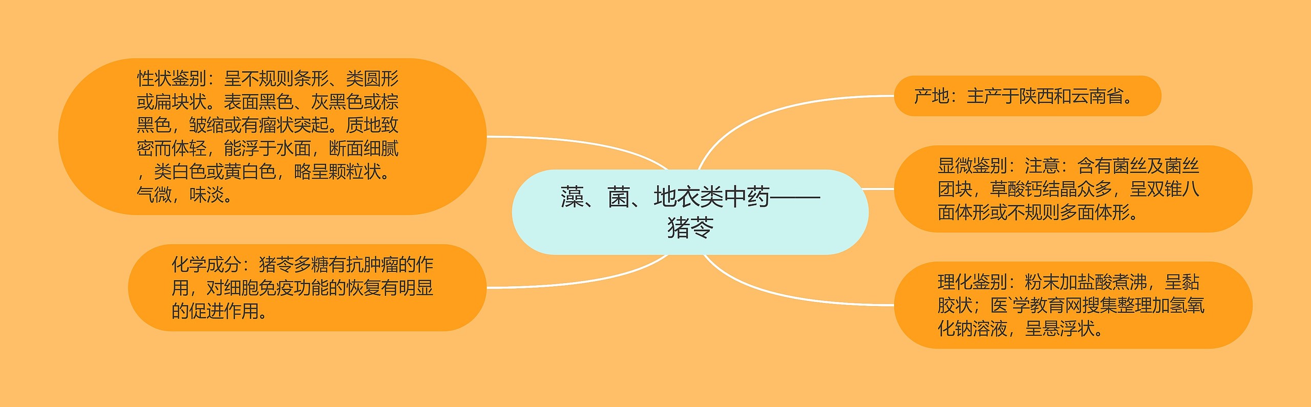 藻、菌、地衣类中药——猪苓 藻、菌、地衣类中药——猪苓