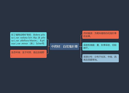 中药材：白花鬼针草思维导图