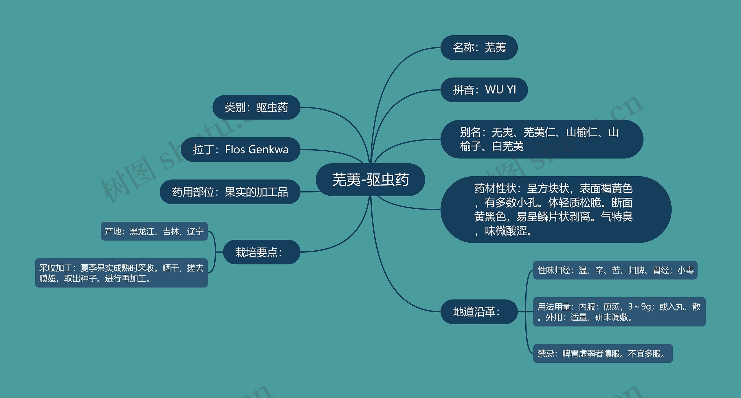 芜荑-驱虫药思维导图