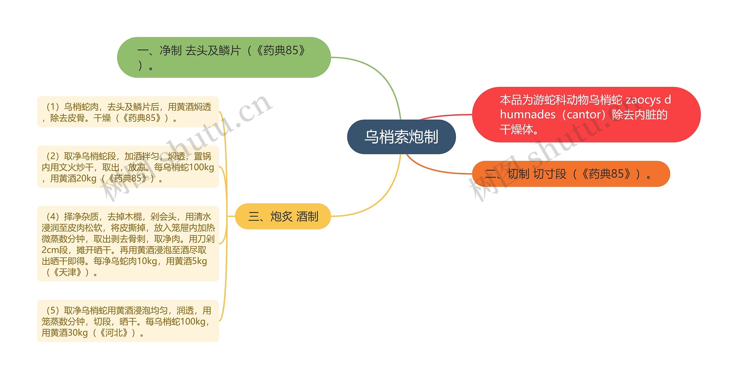 乌梢索炮制思维导图