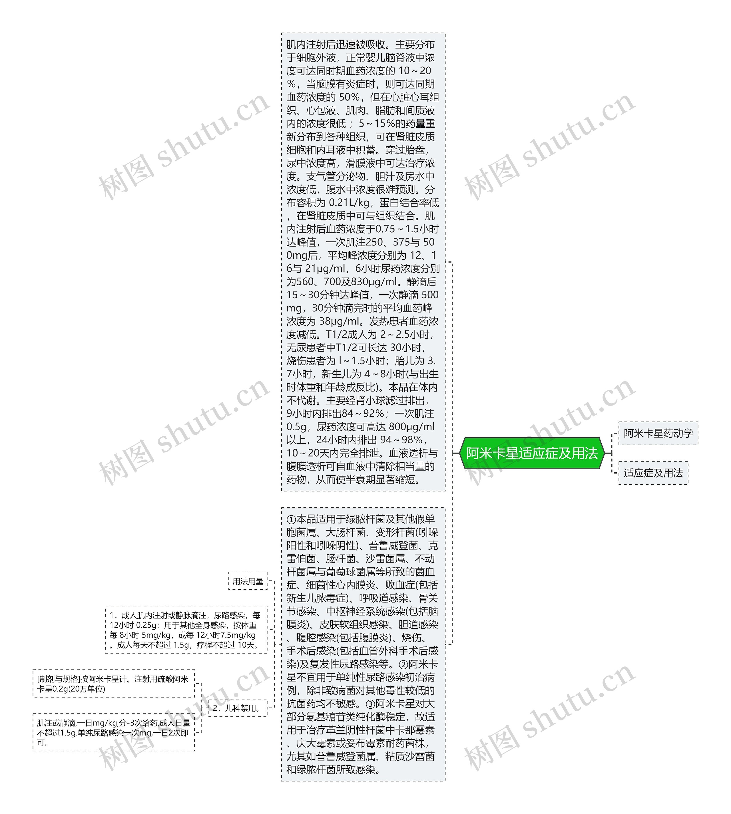 阿米卡星适应症及用法思维导图