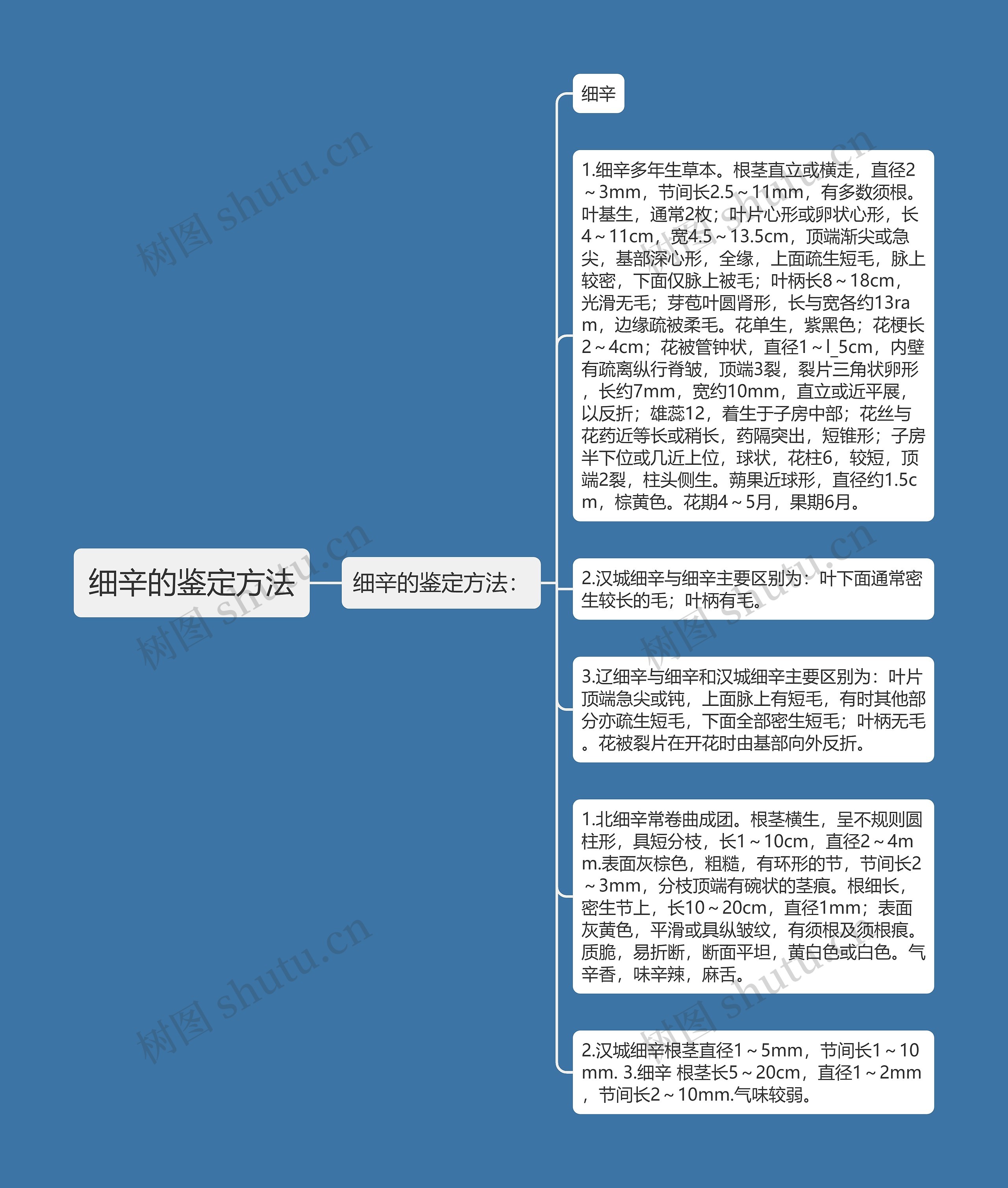 细辛的鉴定方法思维导图