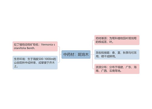 中药材：斑鸠木