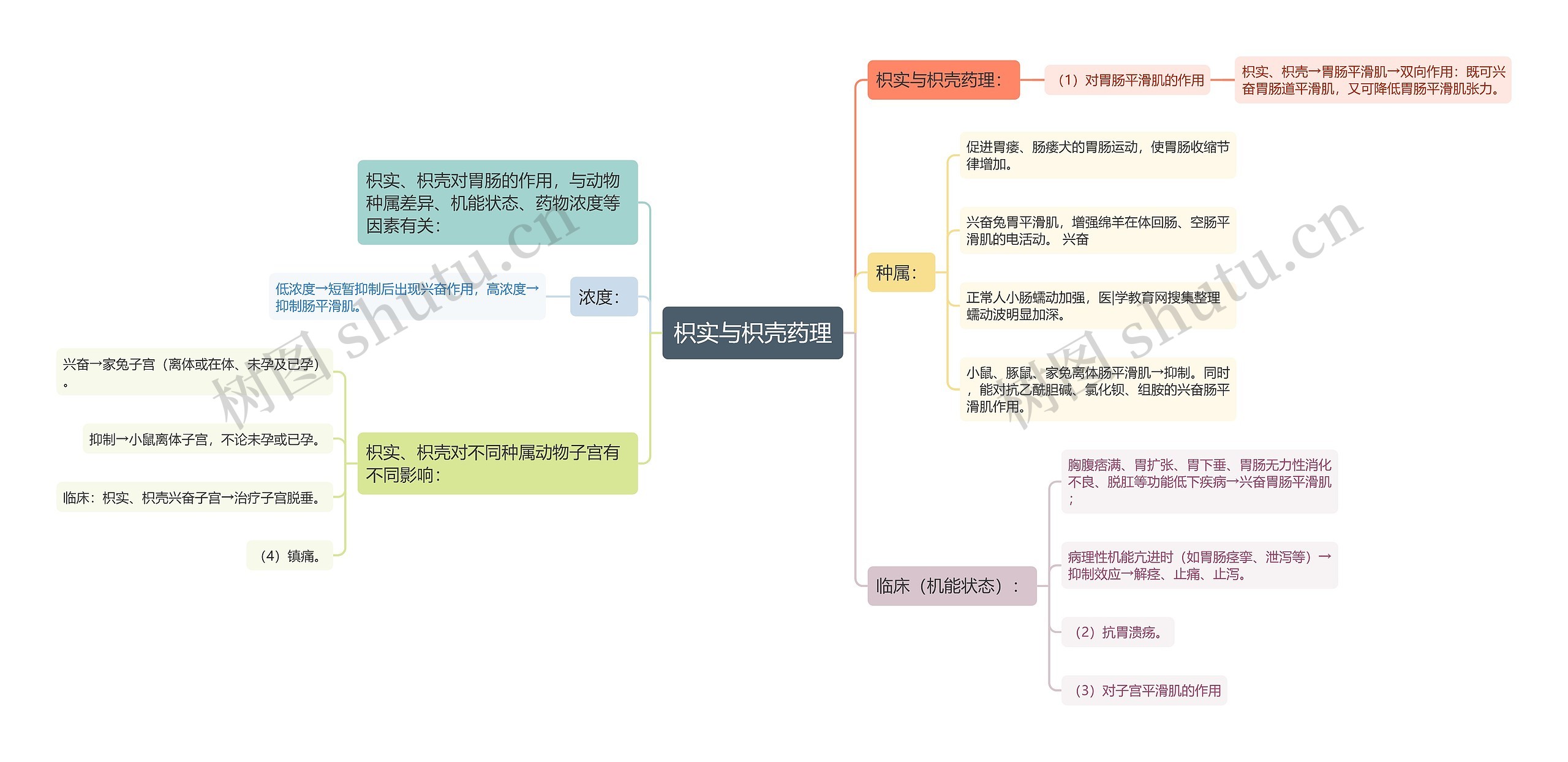 枳实与枳壳药理思维导图