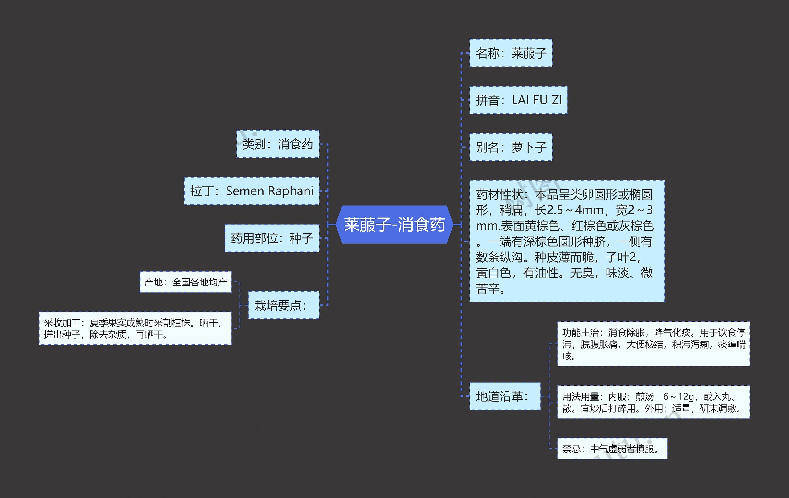莱菔子-消食药思维导图