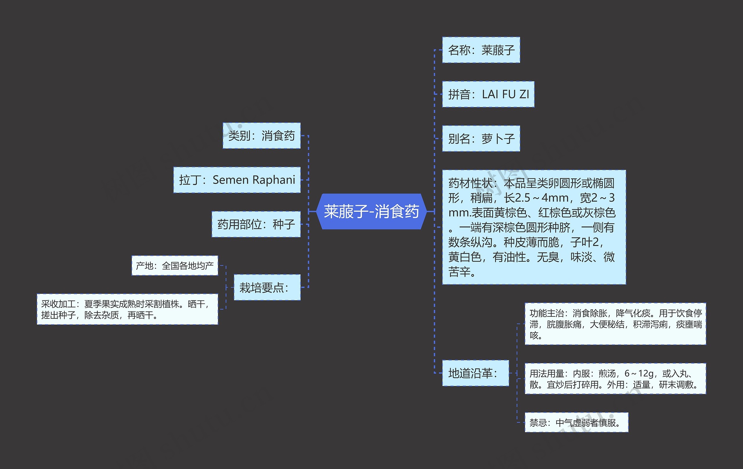 莱菔子-消食药 莱菔子-消食药