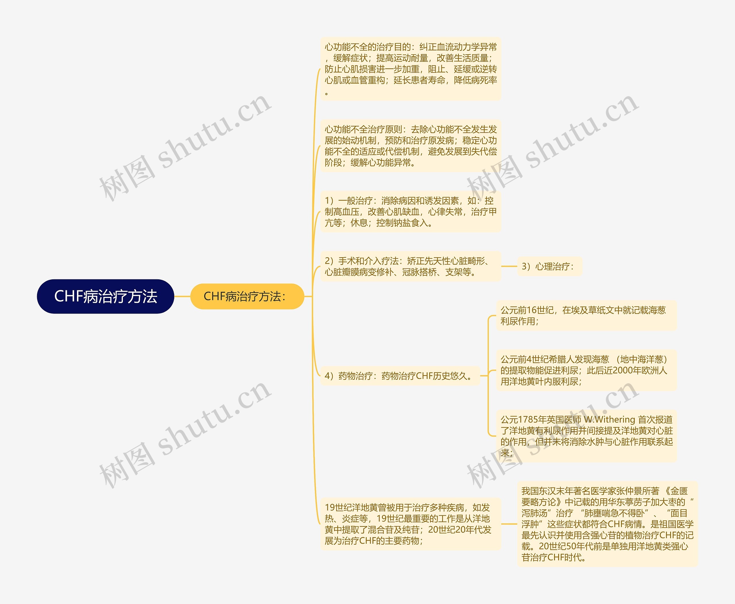 CHF病治疗方法思维导图