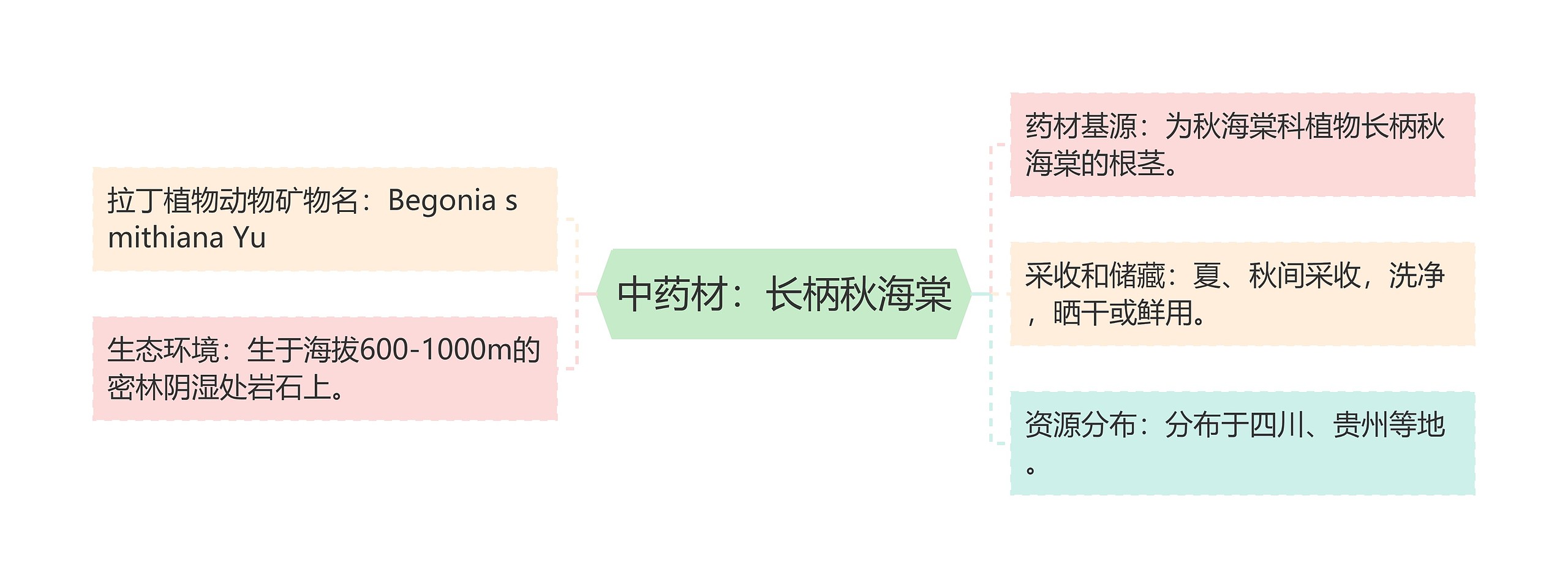 中药材：长柄秋海棠思维导图