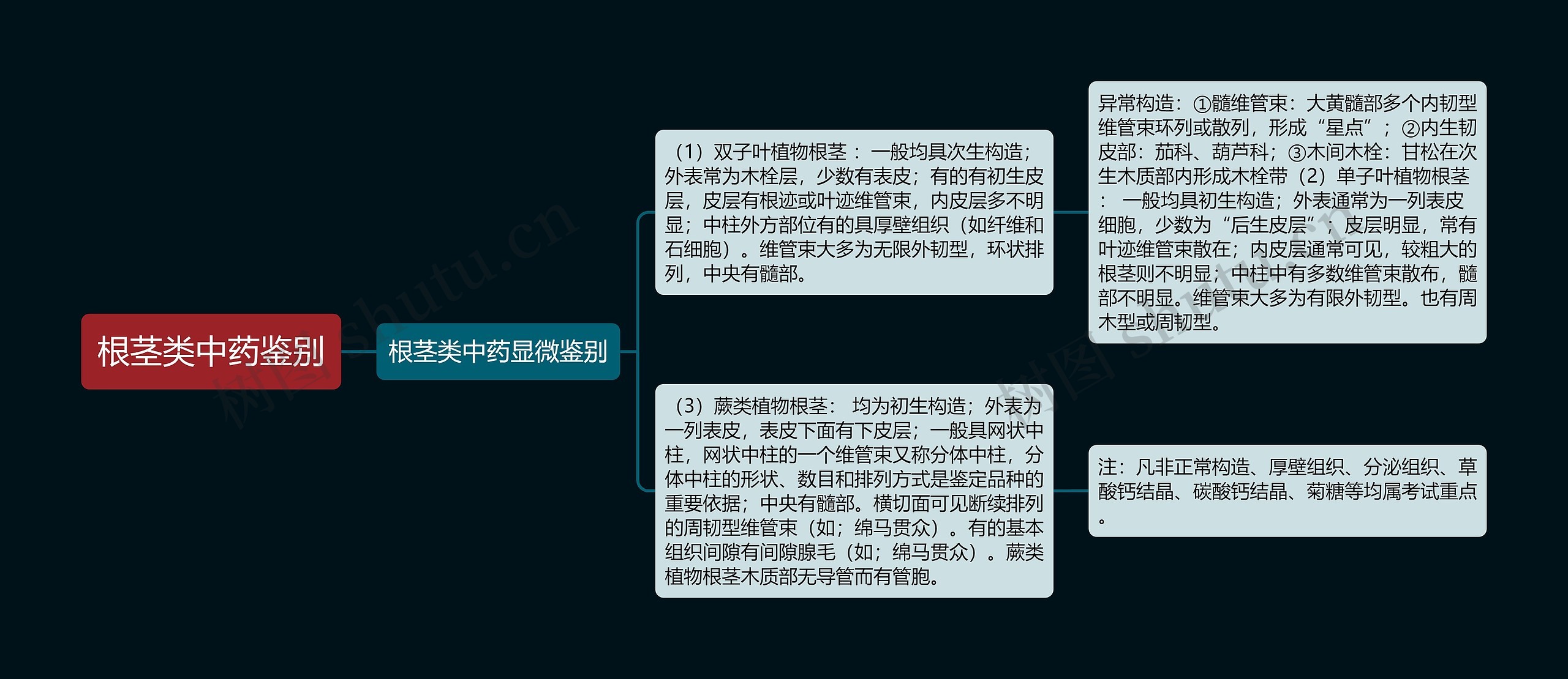 根茎类中药鉴别思维导图