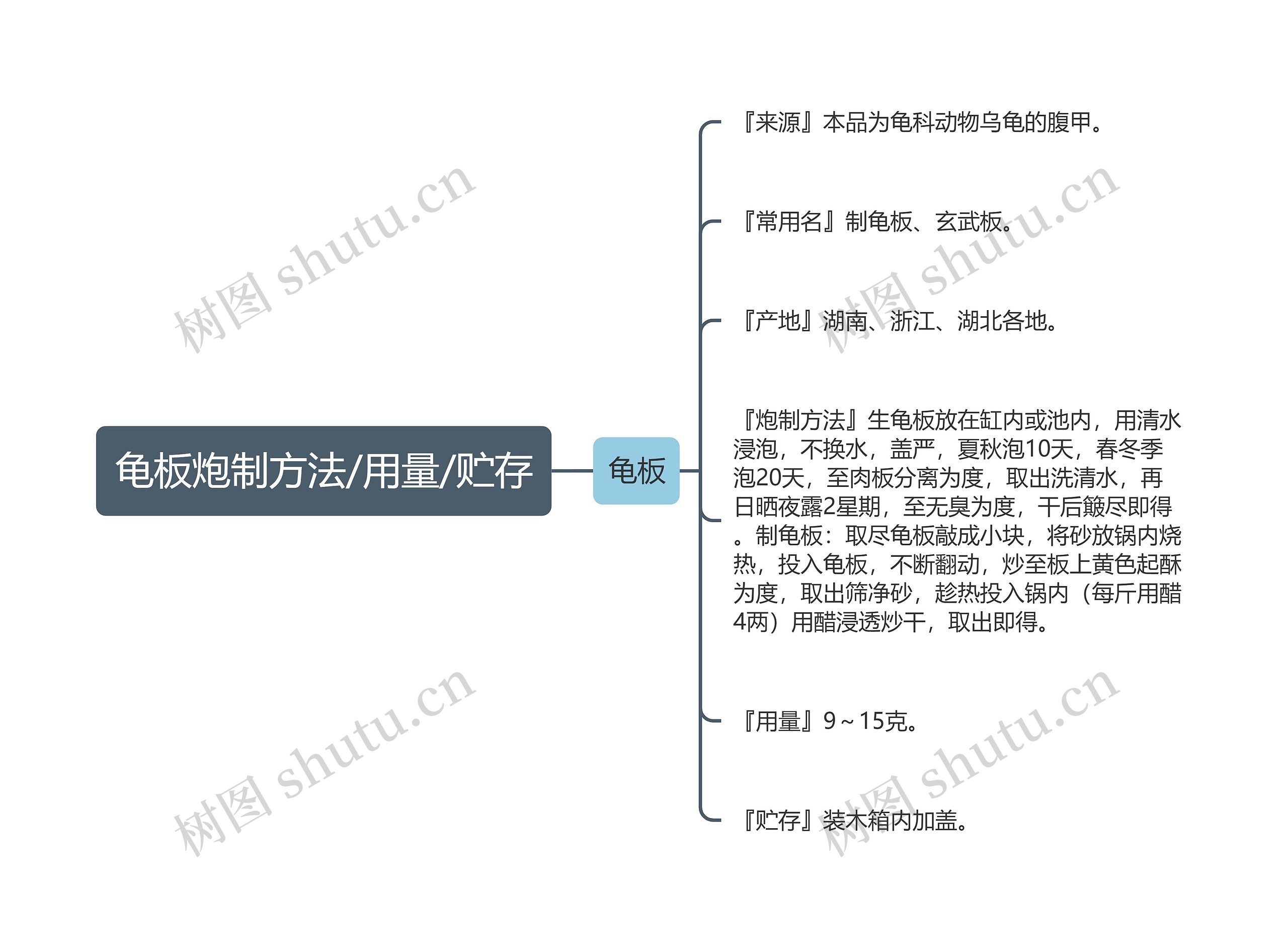 龟板炮制方法/用量/贮存思维导图