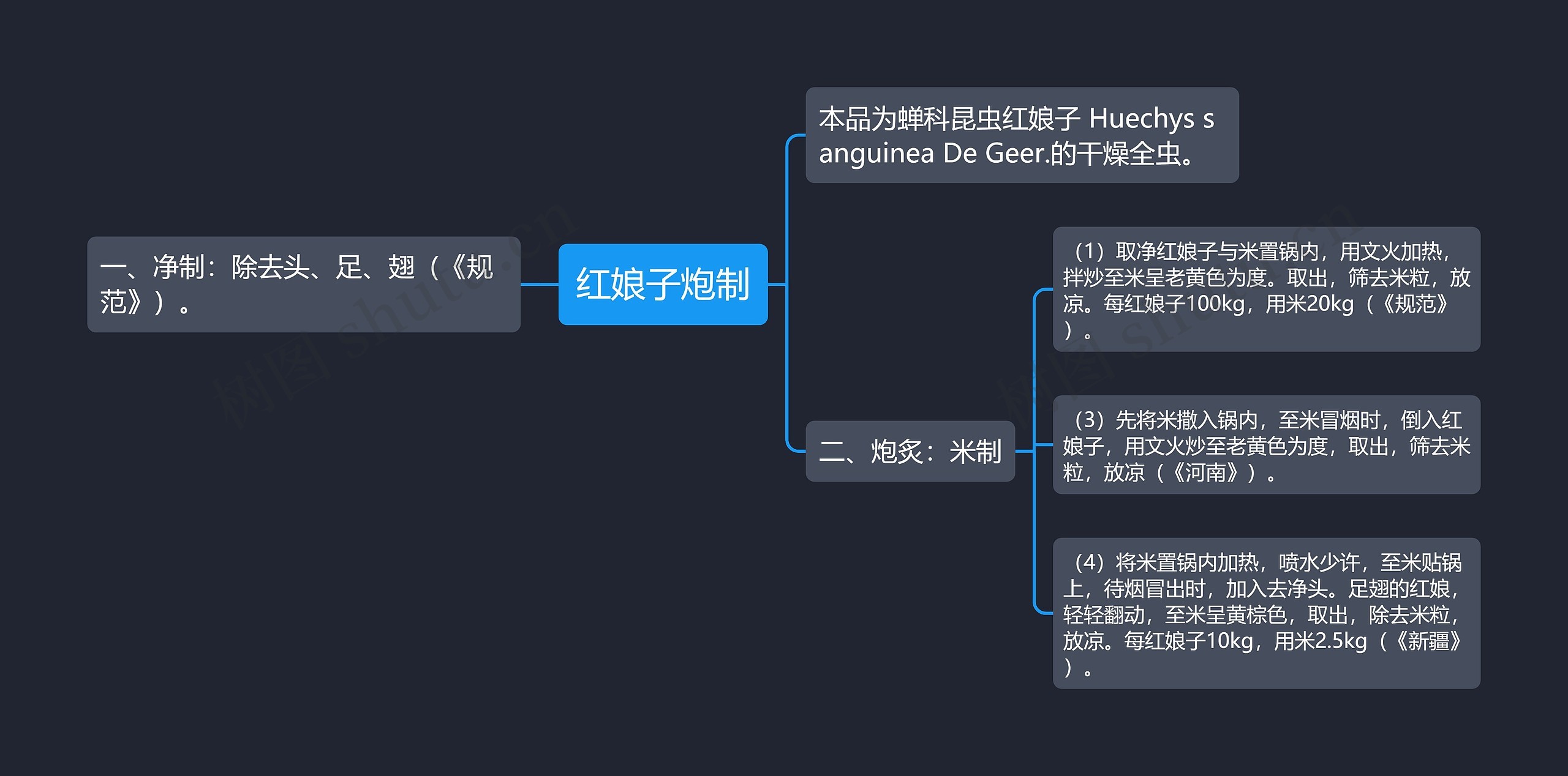 红娘子炮制