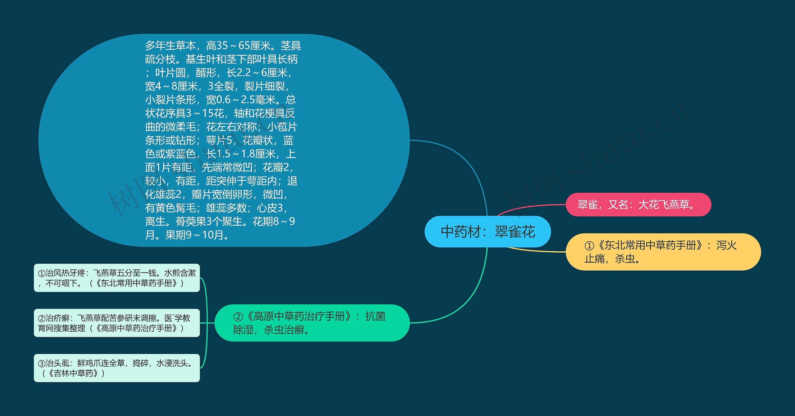 中药材：翠雀花思维导图