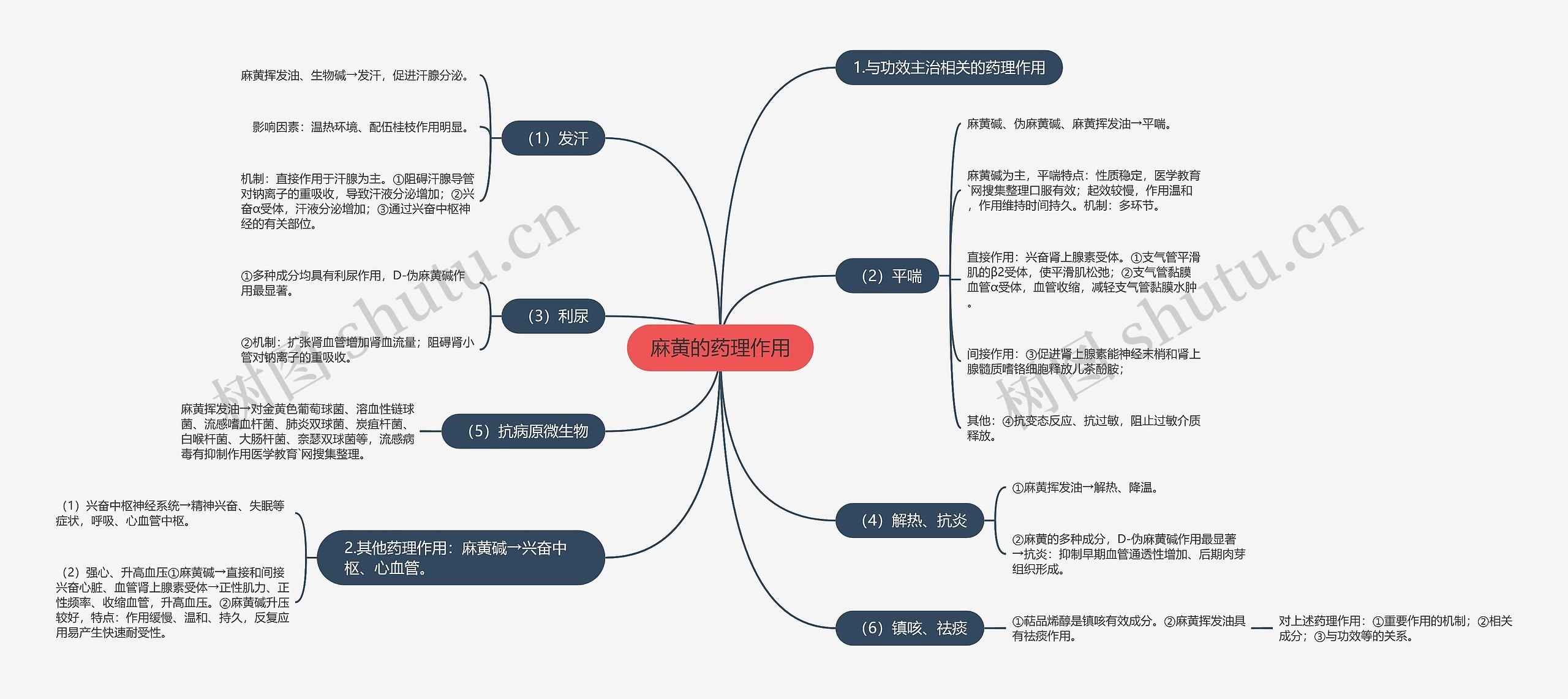 麻黄的药理作用思维导图