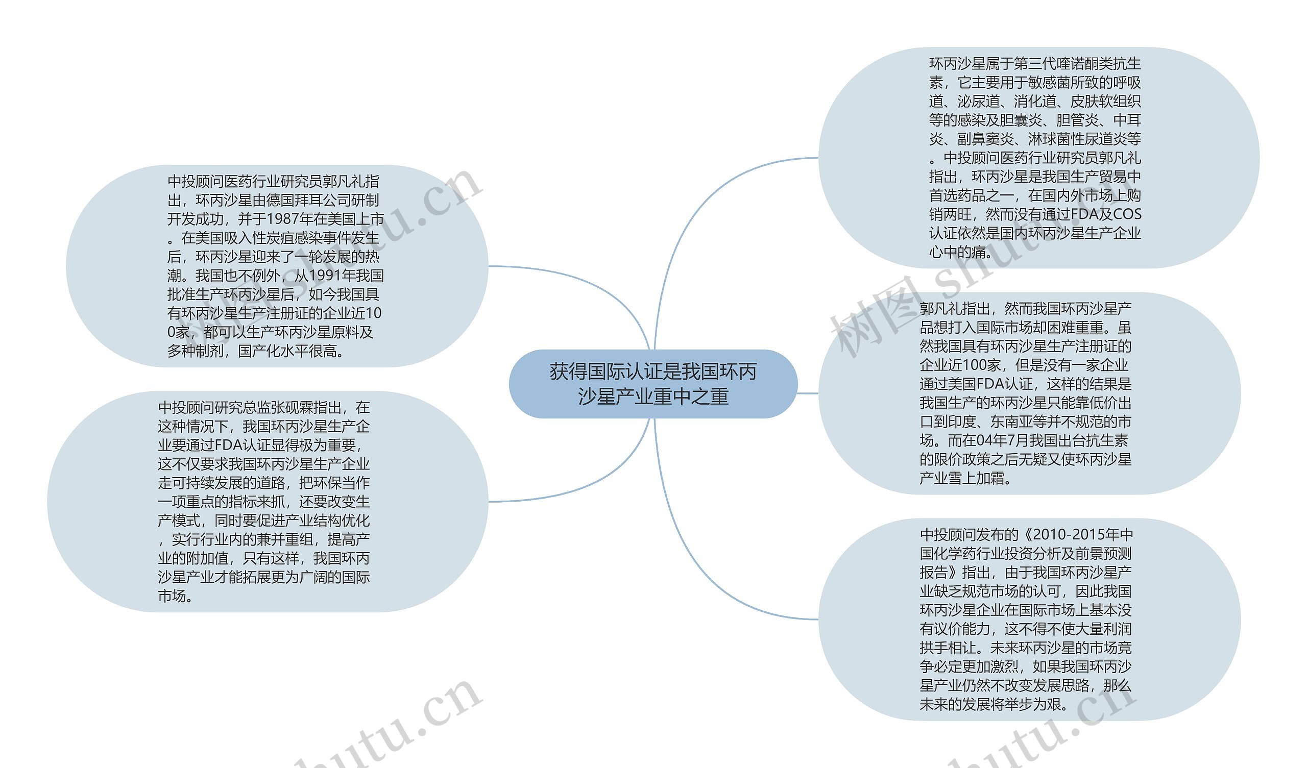 获得国际认证是我国环丙沙星产业重中之重思维导图