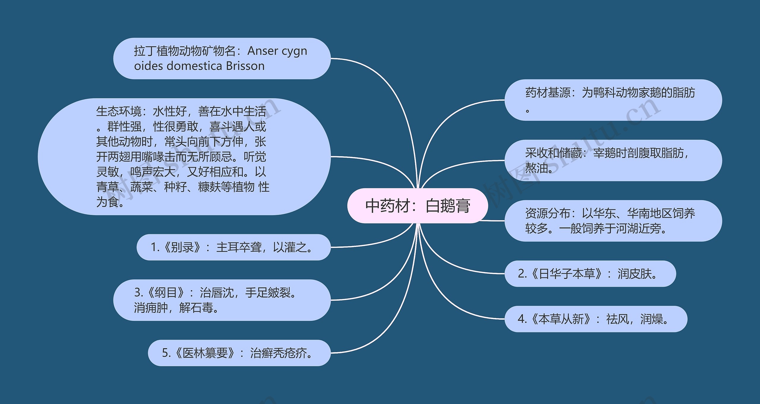 中药材：白鹅膏思维导图