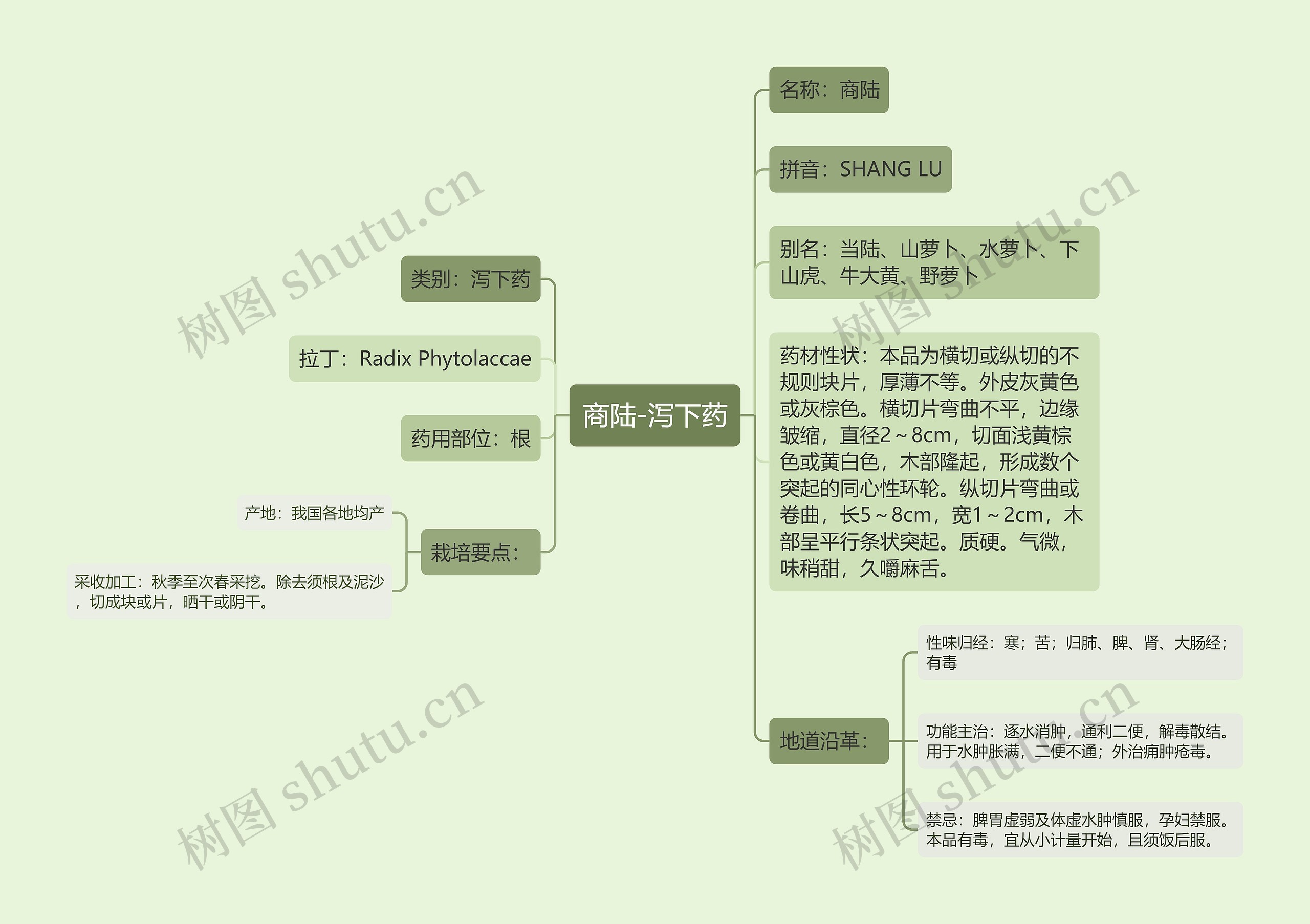 商陆-泻下药思维导图