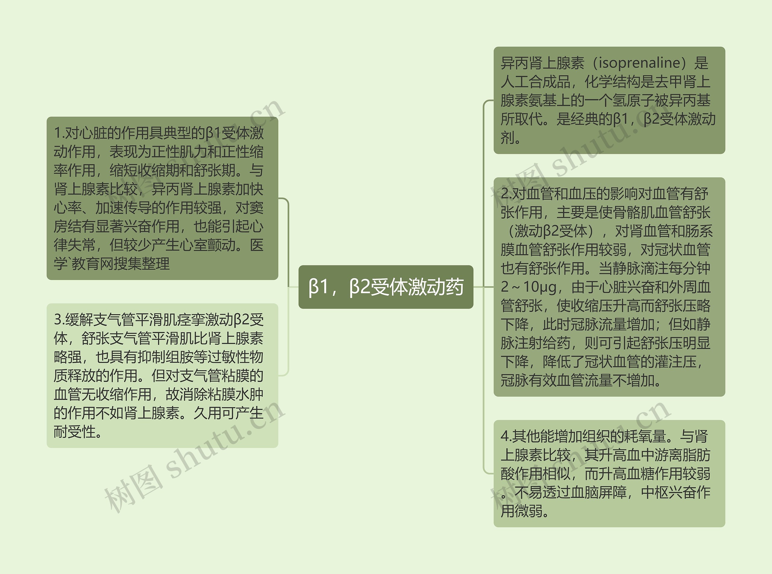 β1，β2受体激动药思维导图