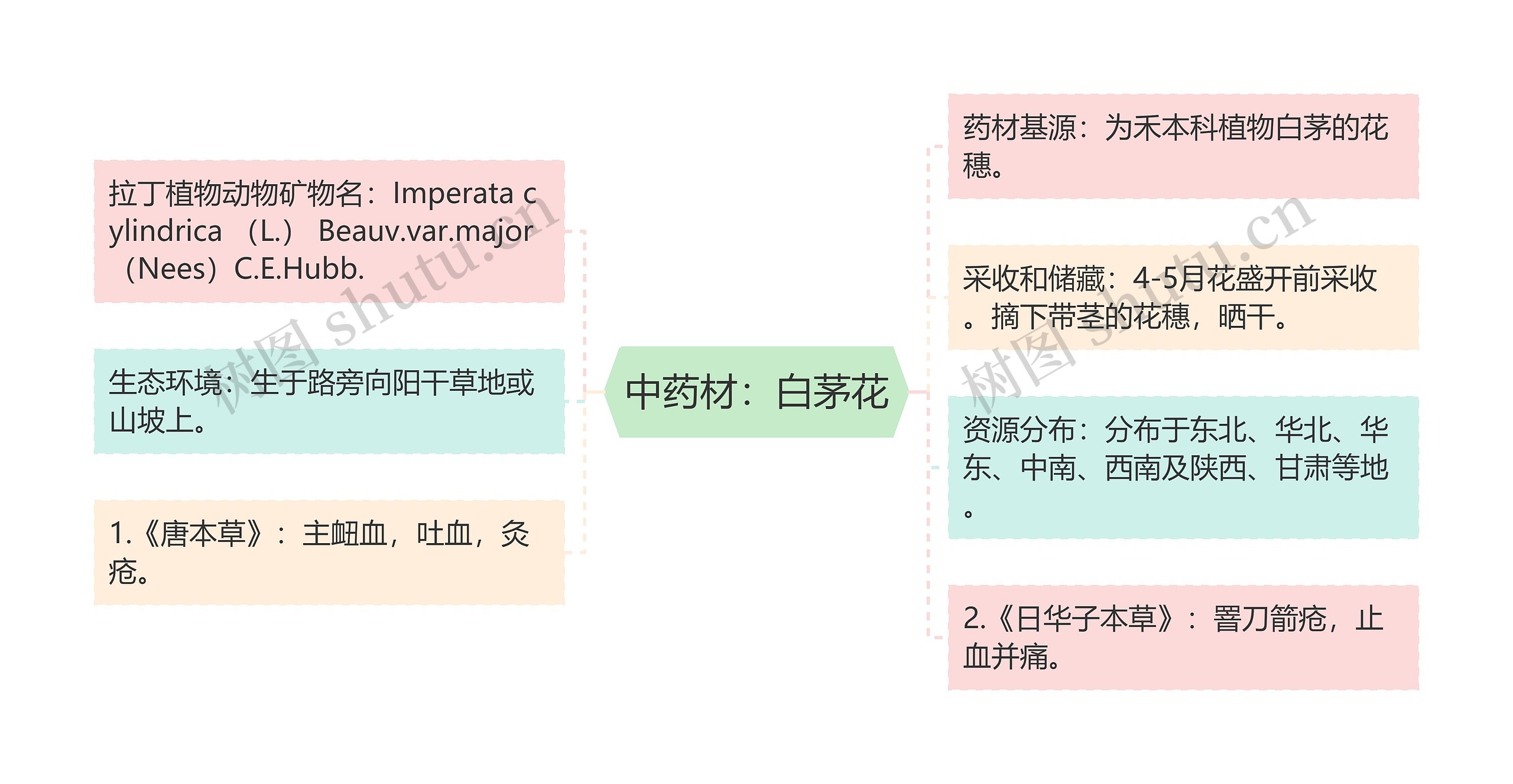 中药材：白茅花思维导图