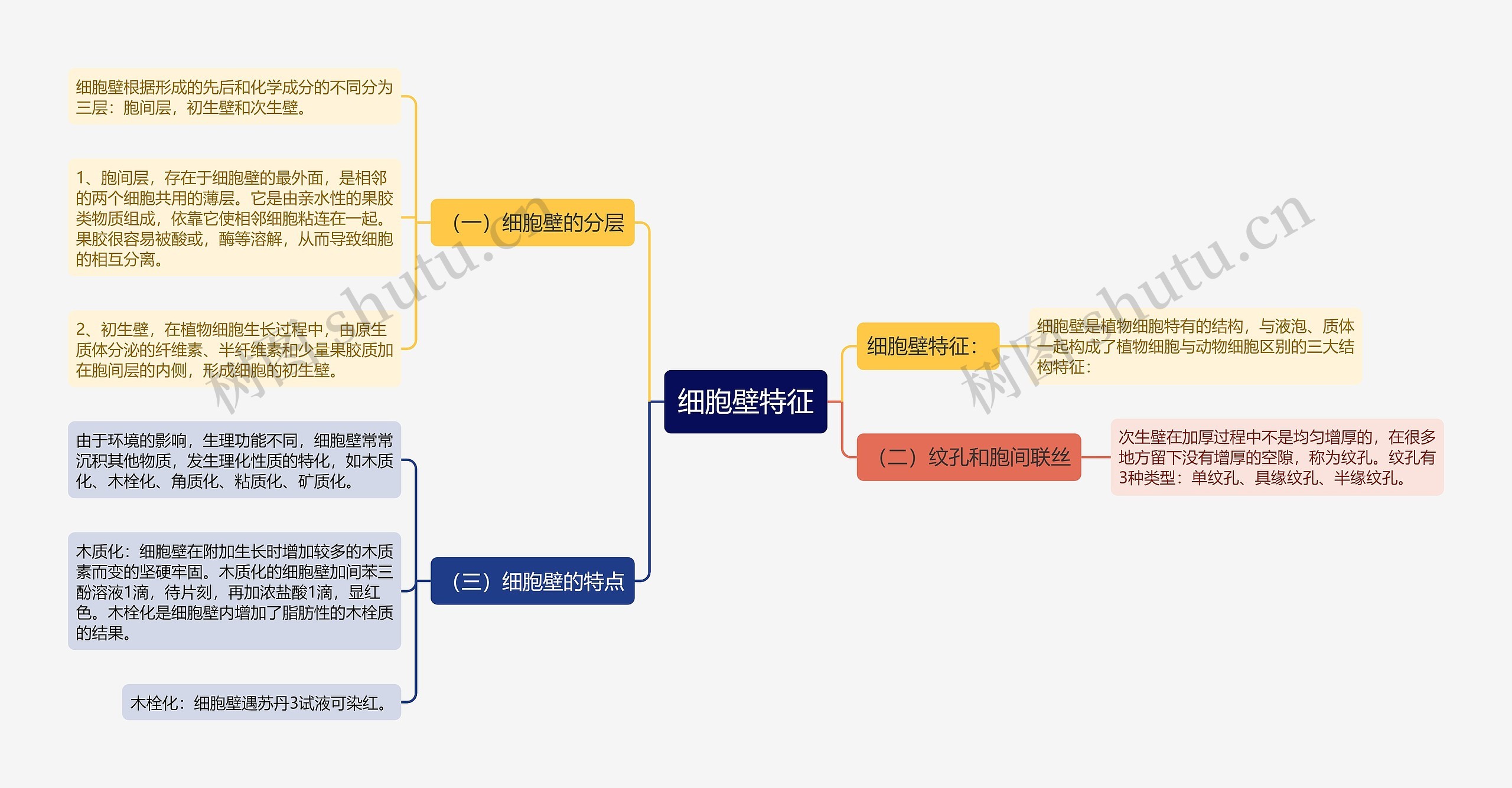 细胞壁特征思维导图