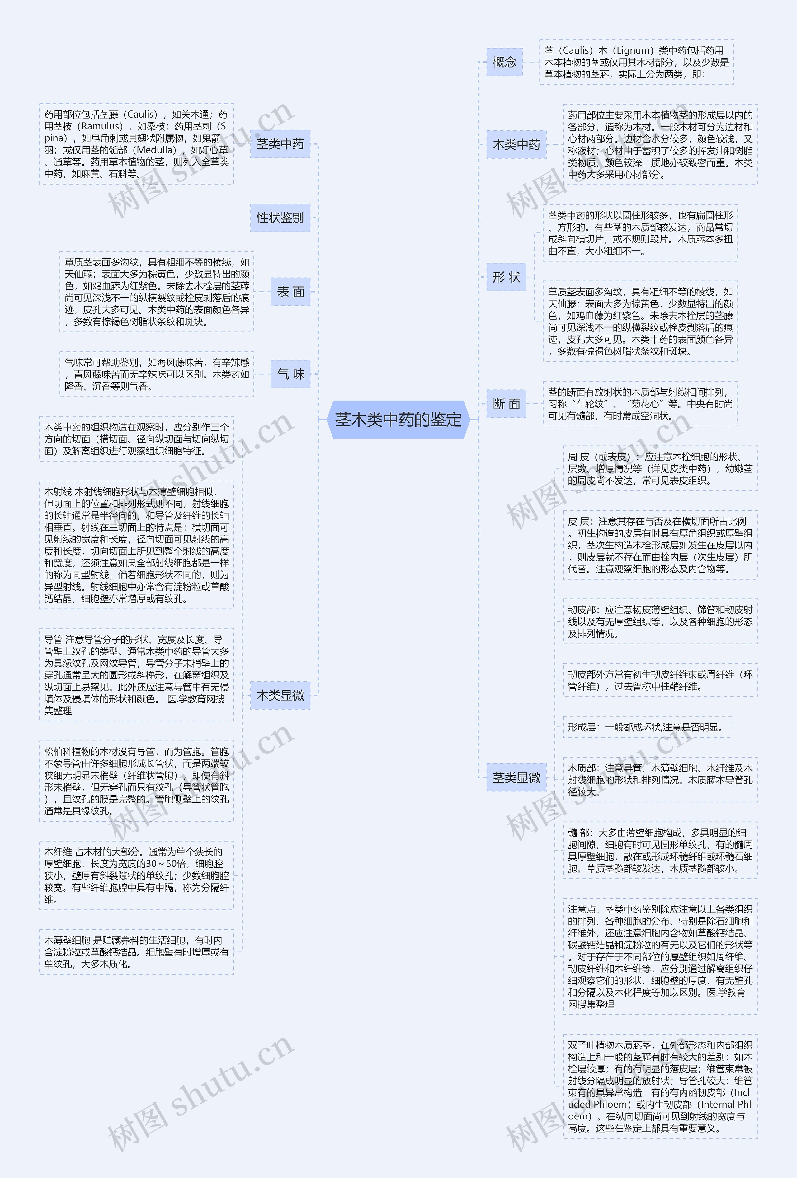 茎木类中药的鉴定思维导图