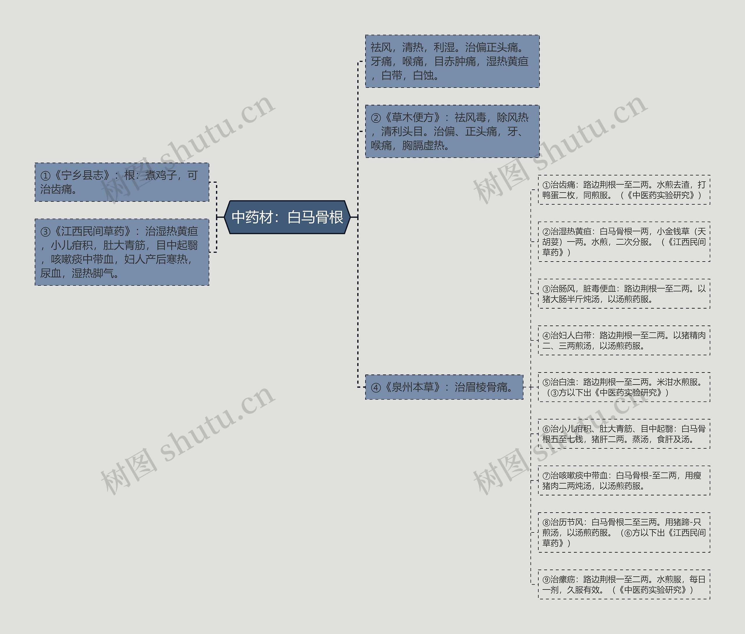 中药材：白马骨根思维导图