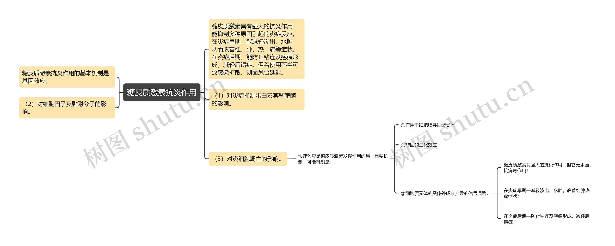 糖皮质激素抗炎作用