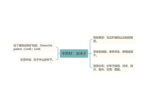 中药材：冰球子