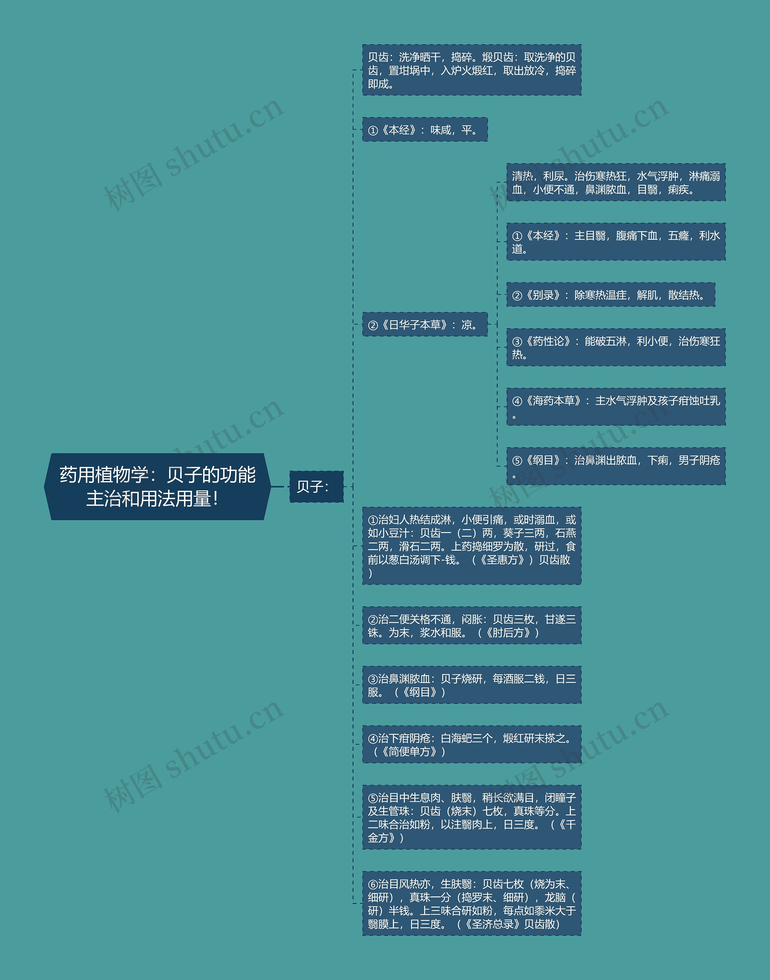 药用植物学:贝子的功能主治和用法用量! 药用植物学:贝子的功能主治和用法用量!