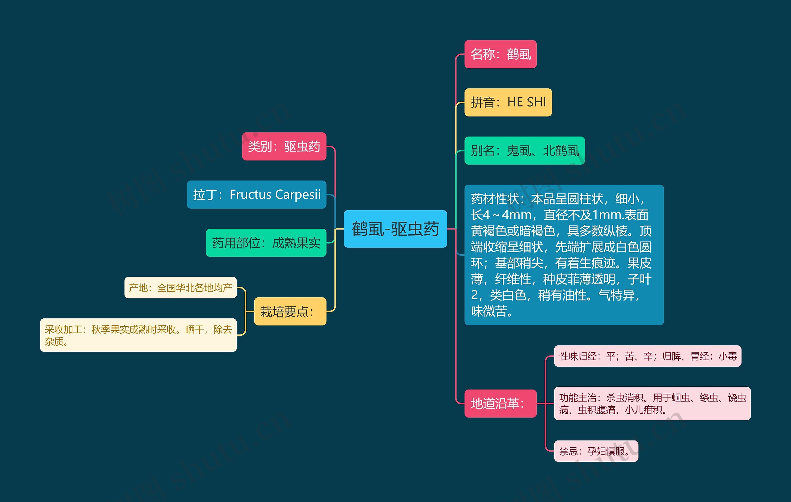 鹤虱-驱虫药思维导图