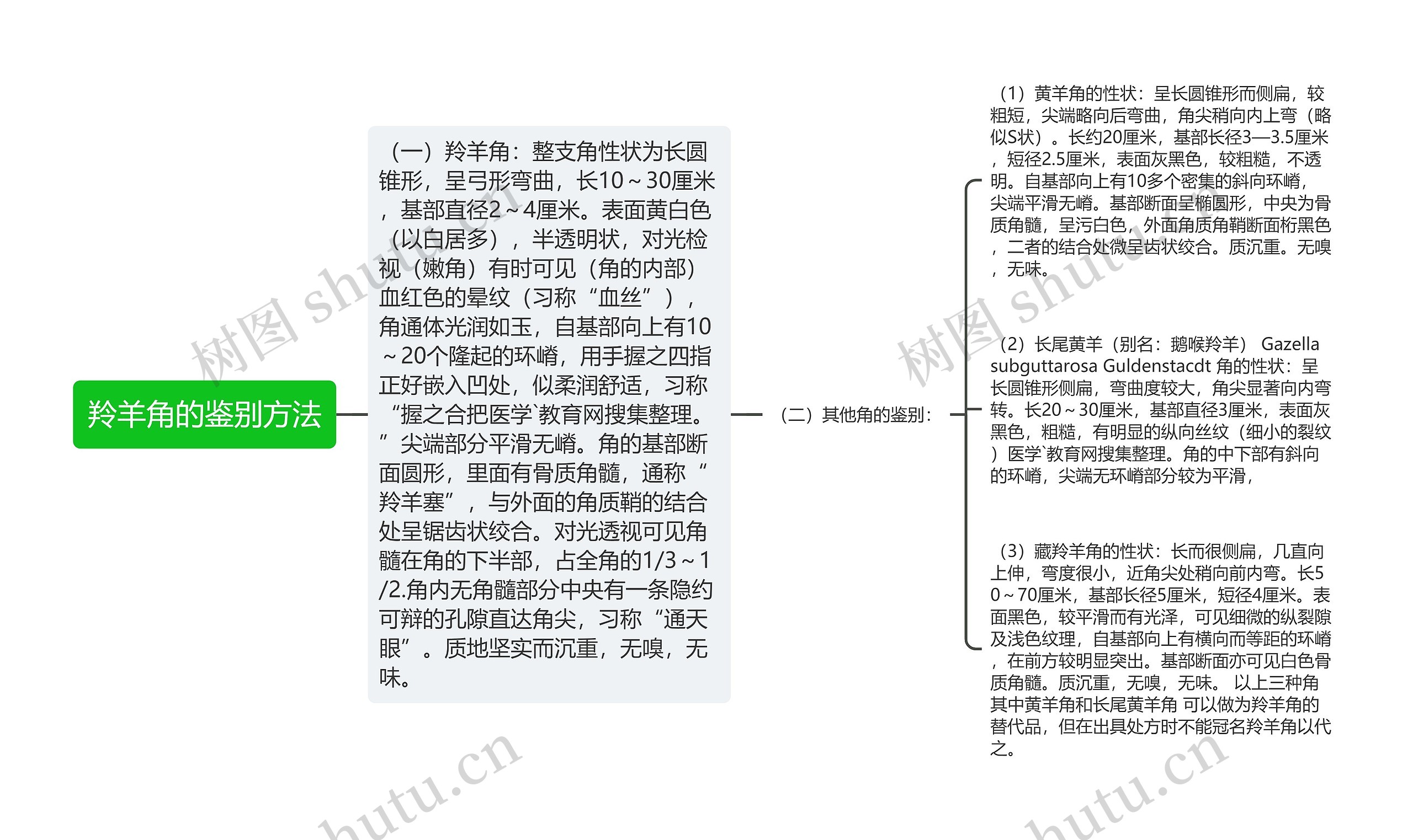 羚羊角的鉴别方法思维导图