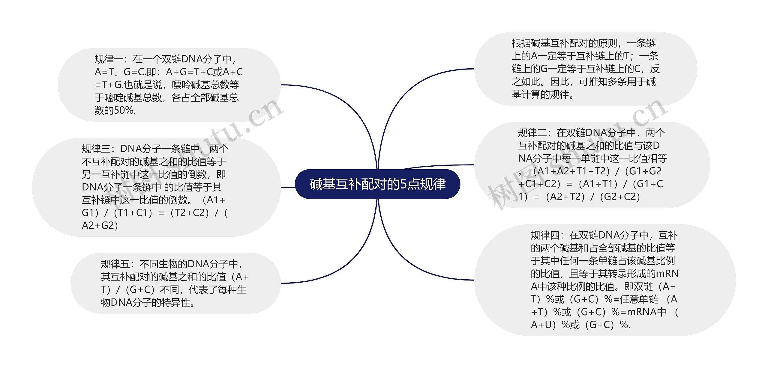 碱基互补配对的5点规律思维导图