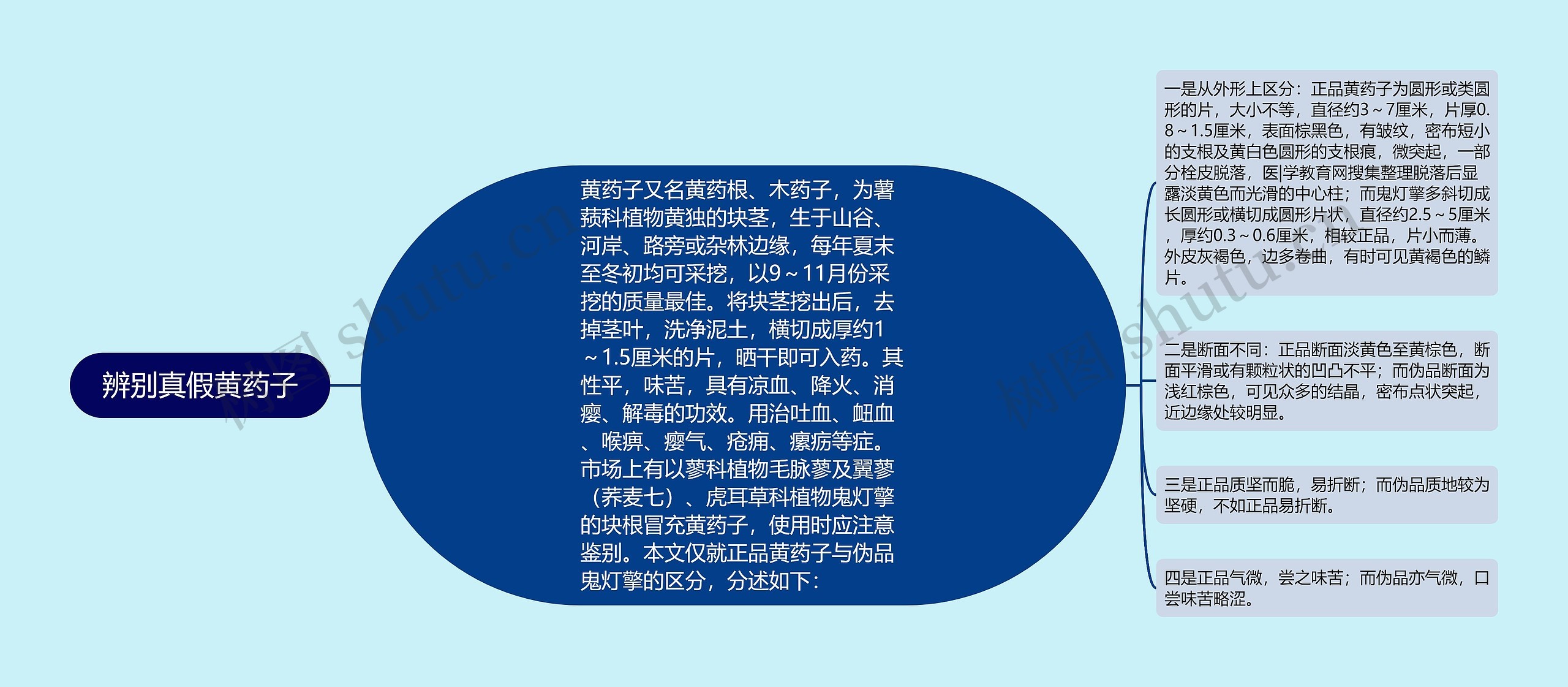 辨别真假黄药子 辨别真假黄药子