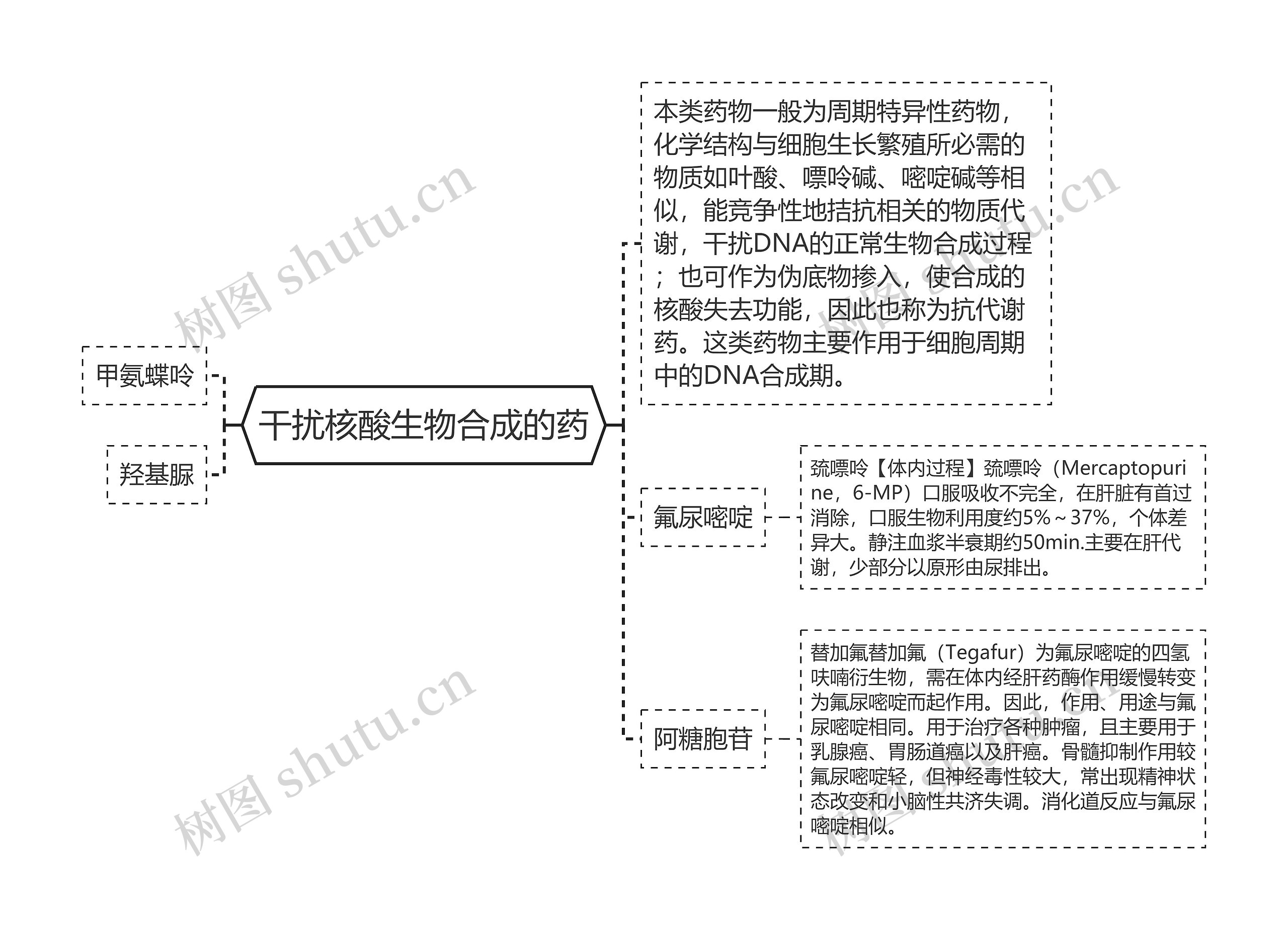 干扰核酸生物合成的药 干扰核酸生物合成的药