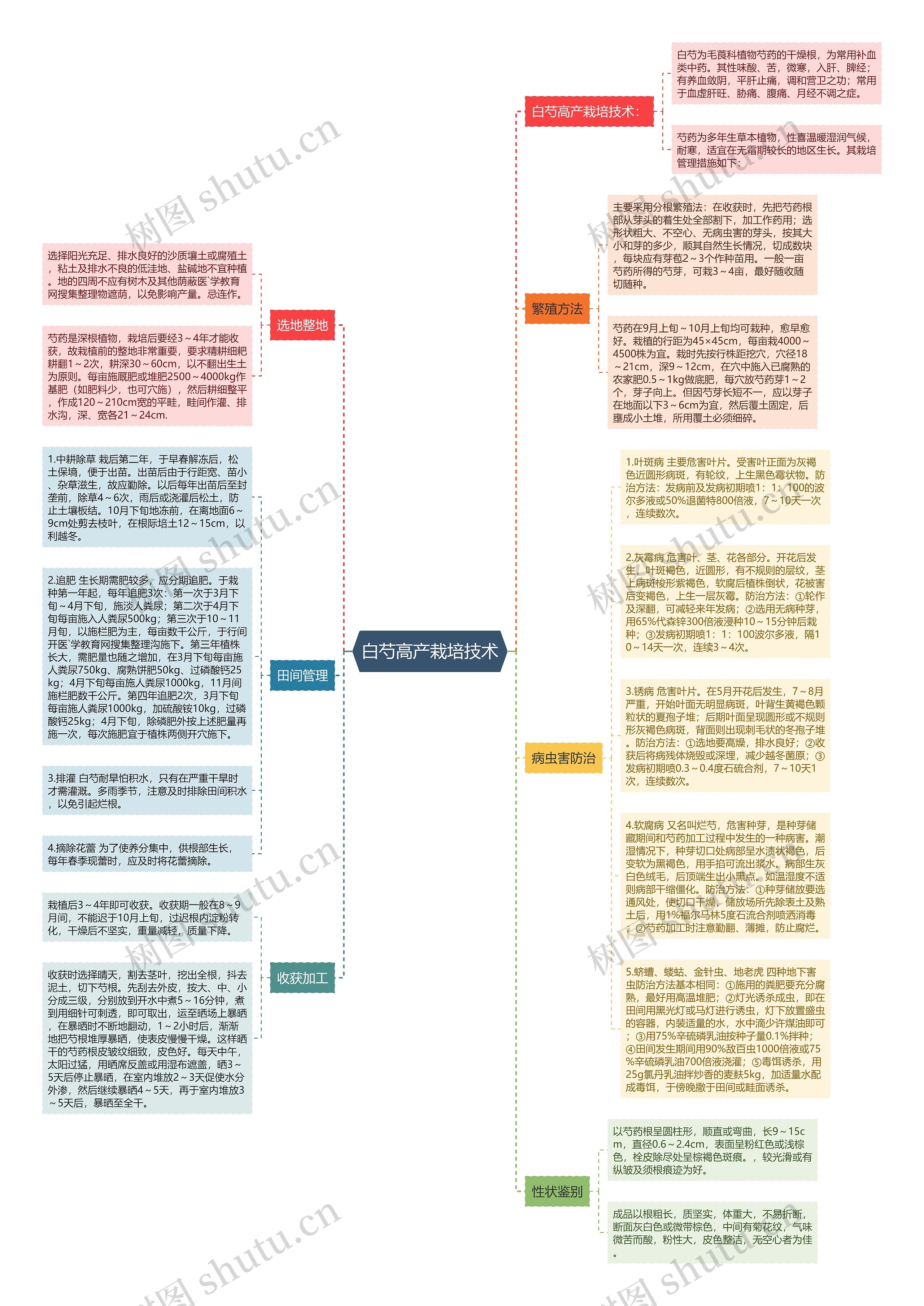 白芍高产栽培技术思维导图