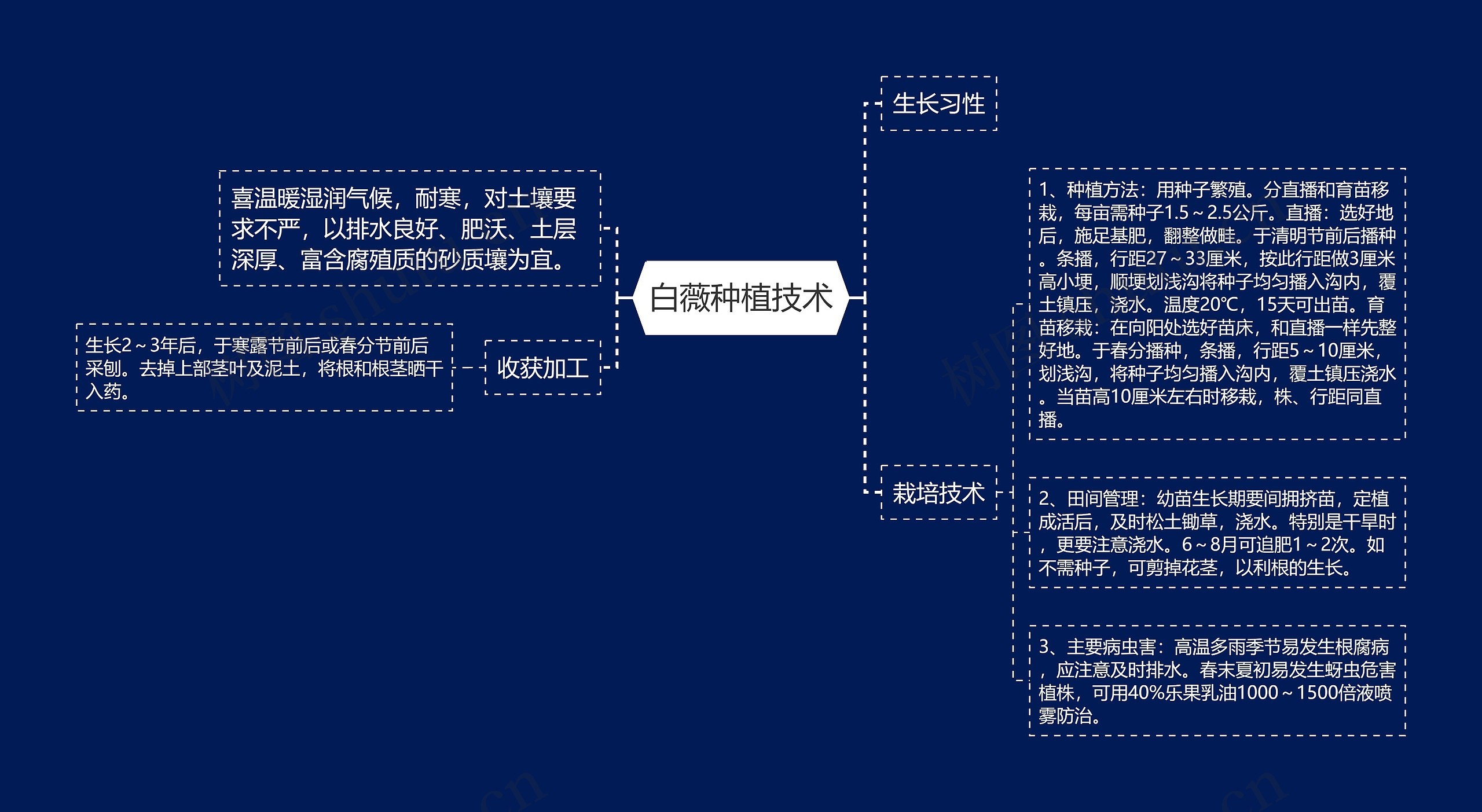 白薇种植技术