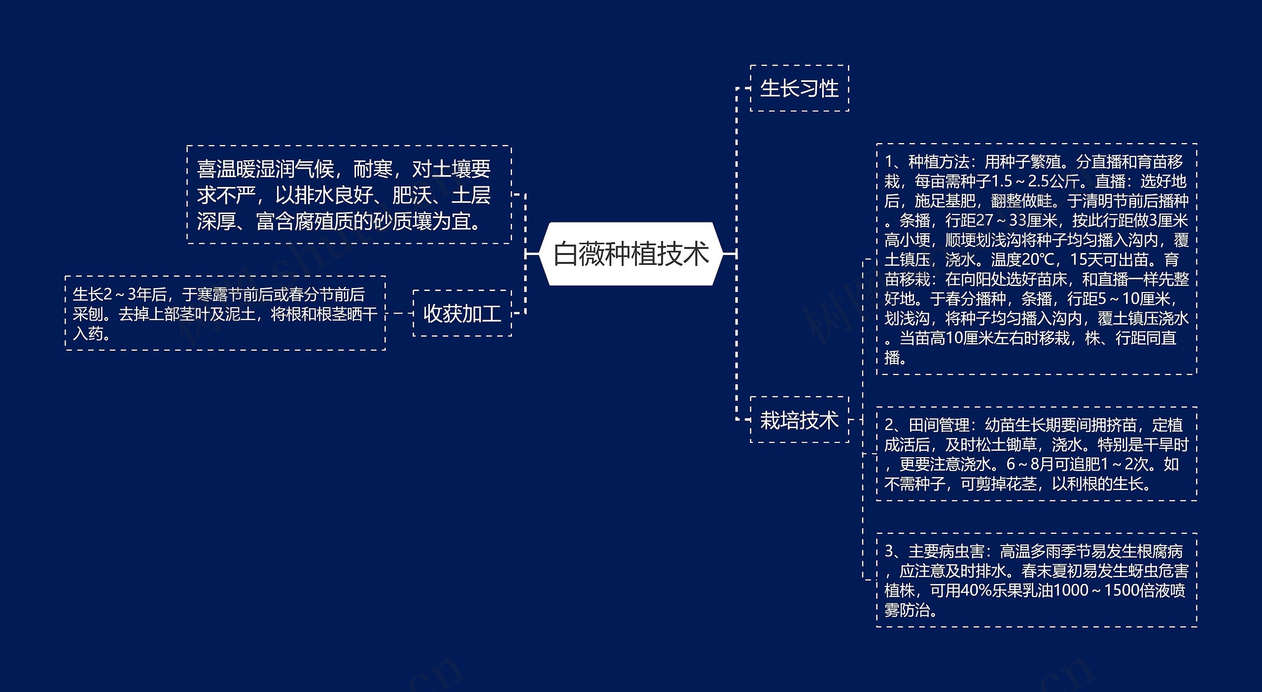 白薇种植技术 白薇种植技术