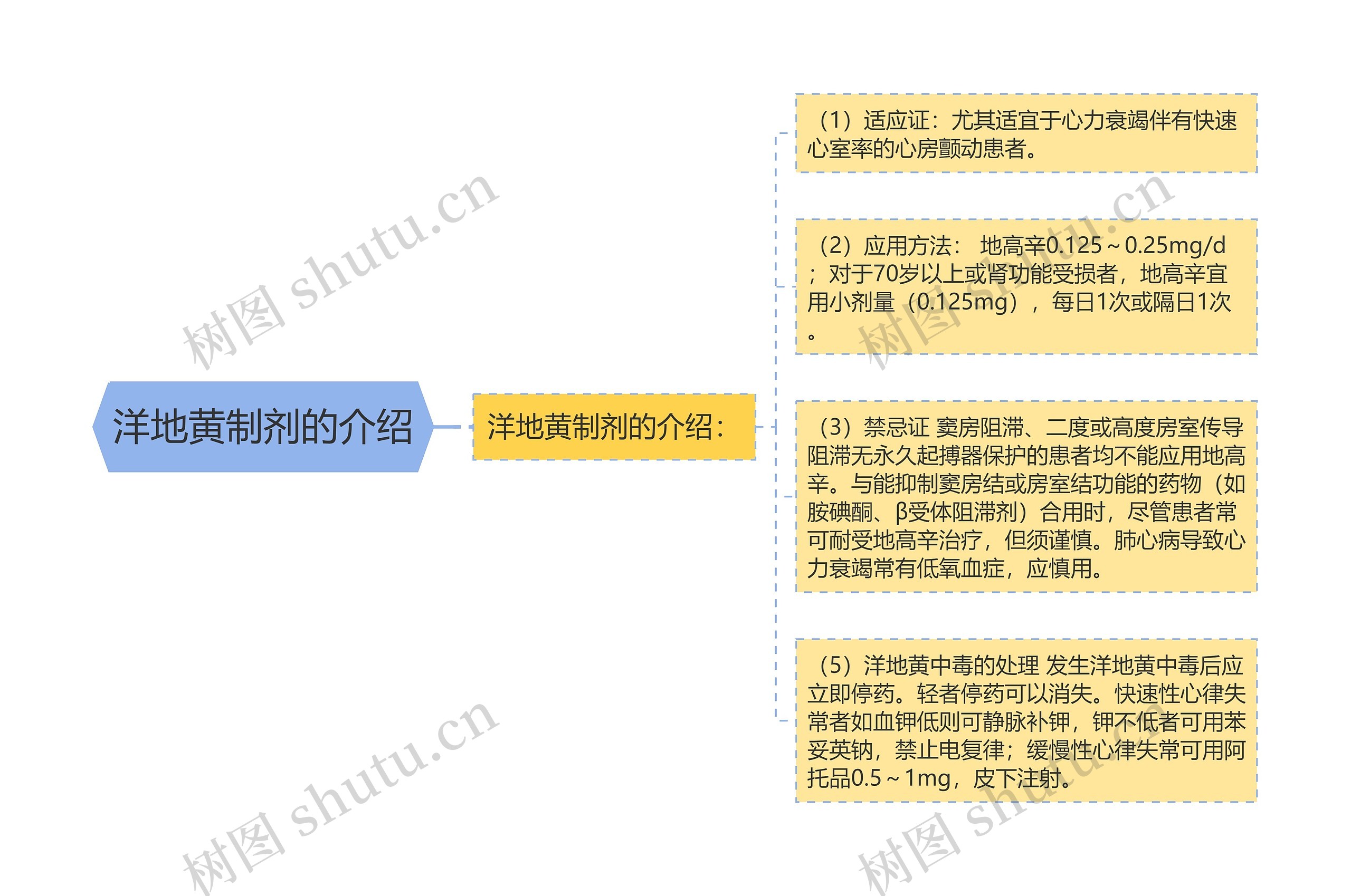 洋地黄制剂的介绍思维导图