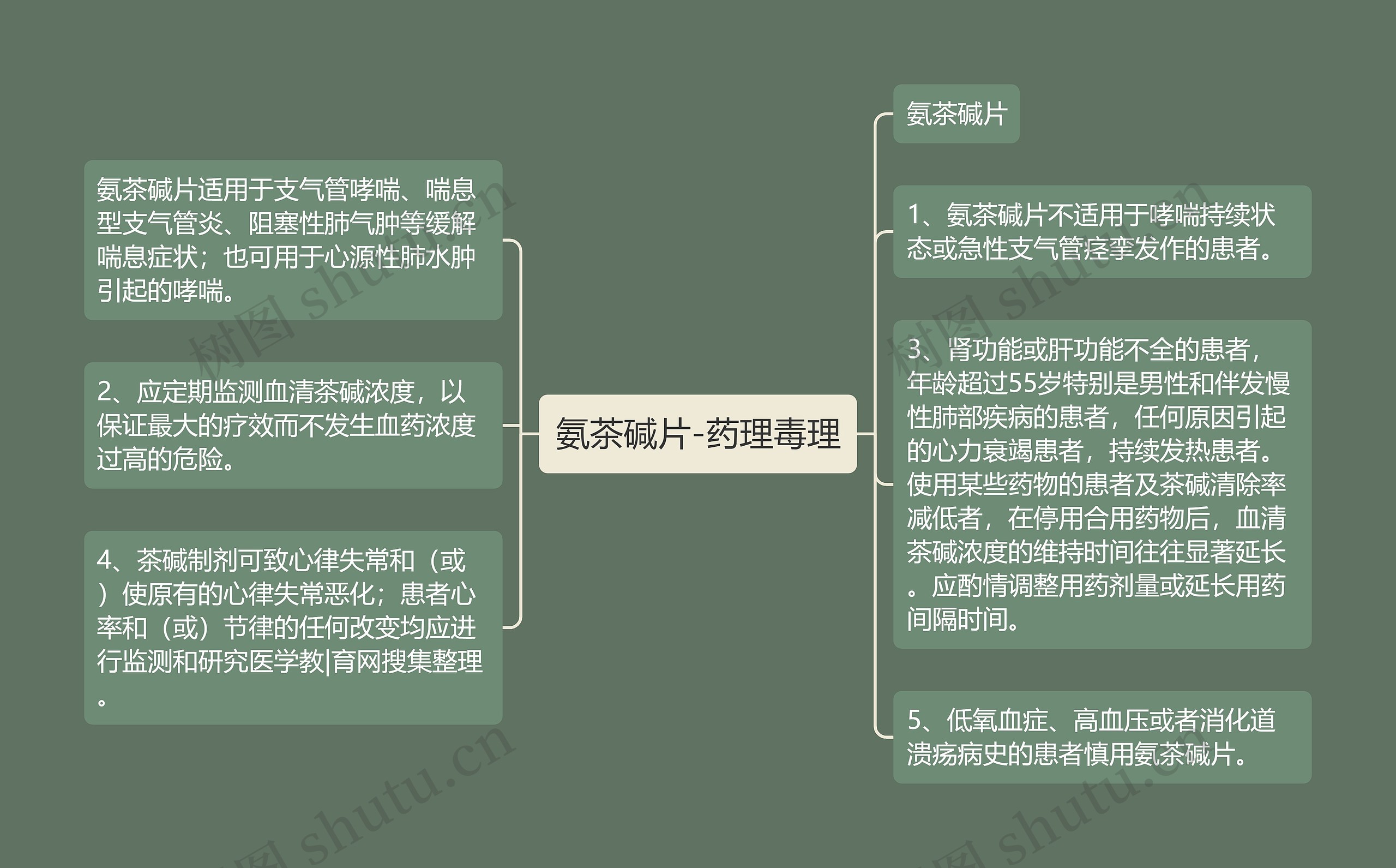 氨茶碱片-药理毒理思维导图